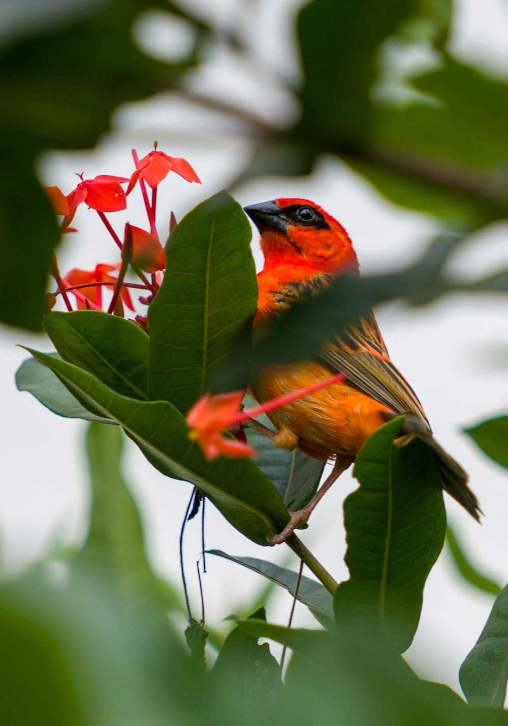 a bird perched on a branch