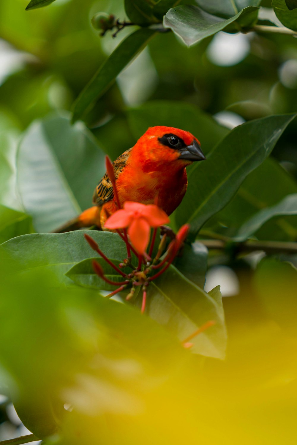 a bird sitting on a branch