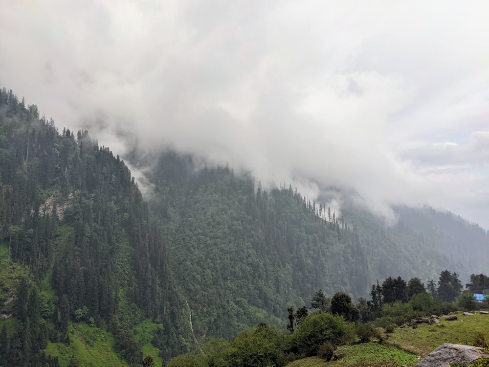 a landscape with trees and clouds