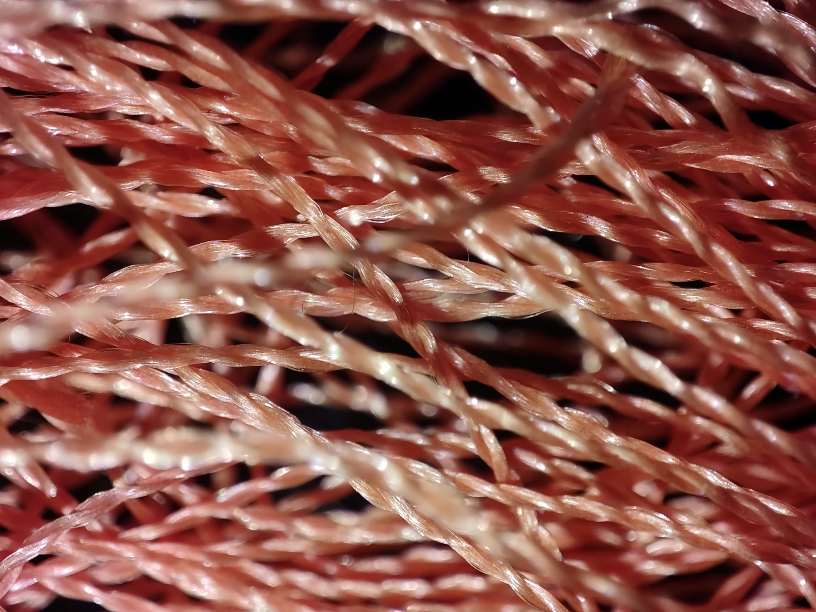 a close up of red hair