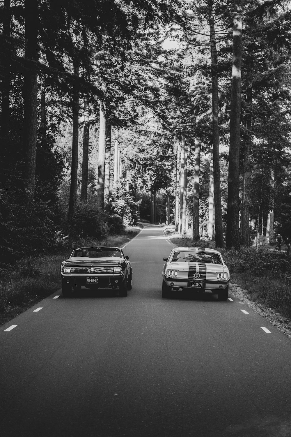 two cars on a road