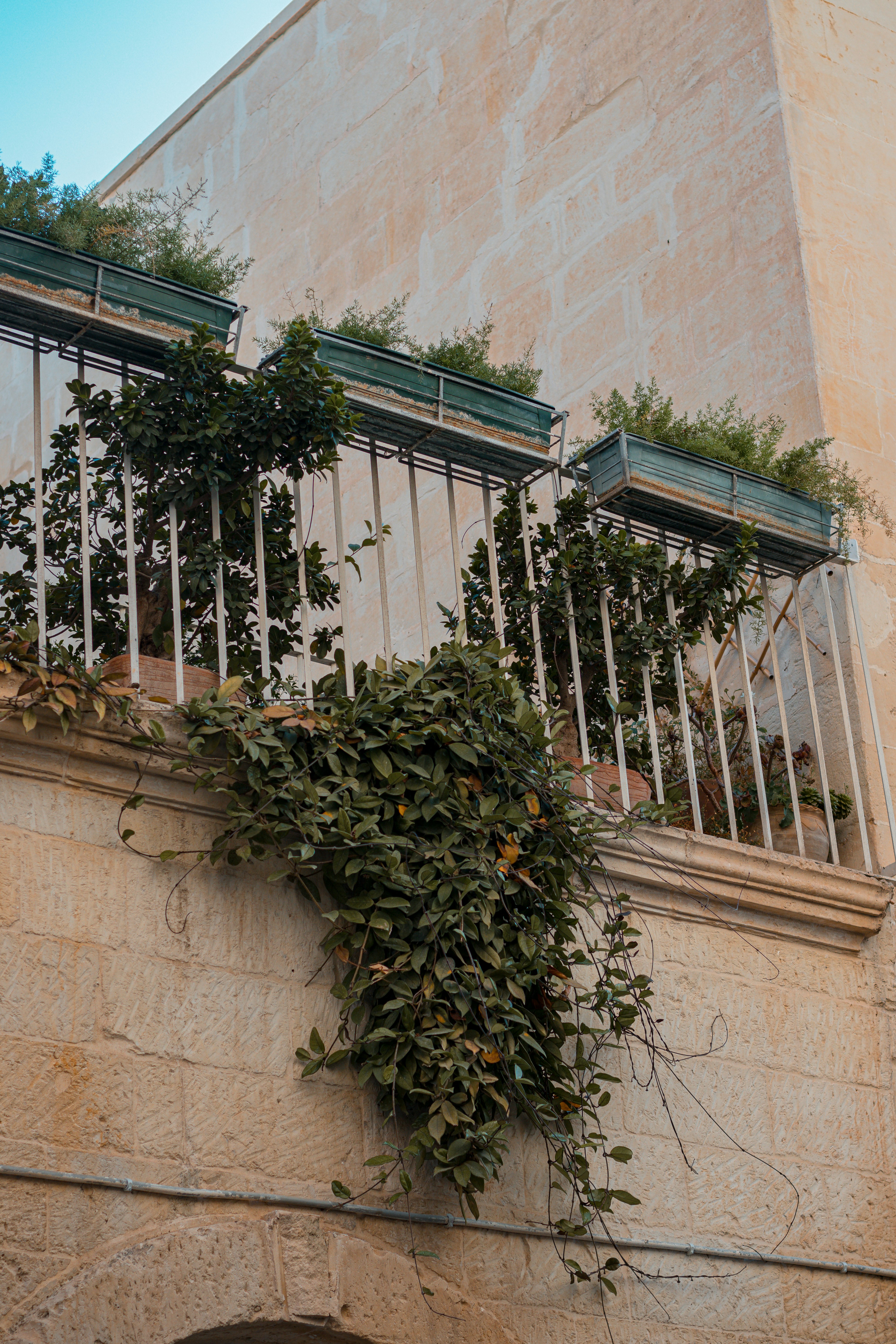 bohemian balcony plants, wallpaper, Bohemian Balcony Design: Create Your Relaxing Oasis 2