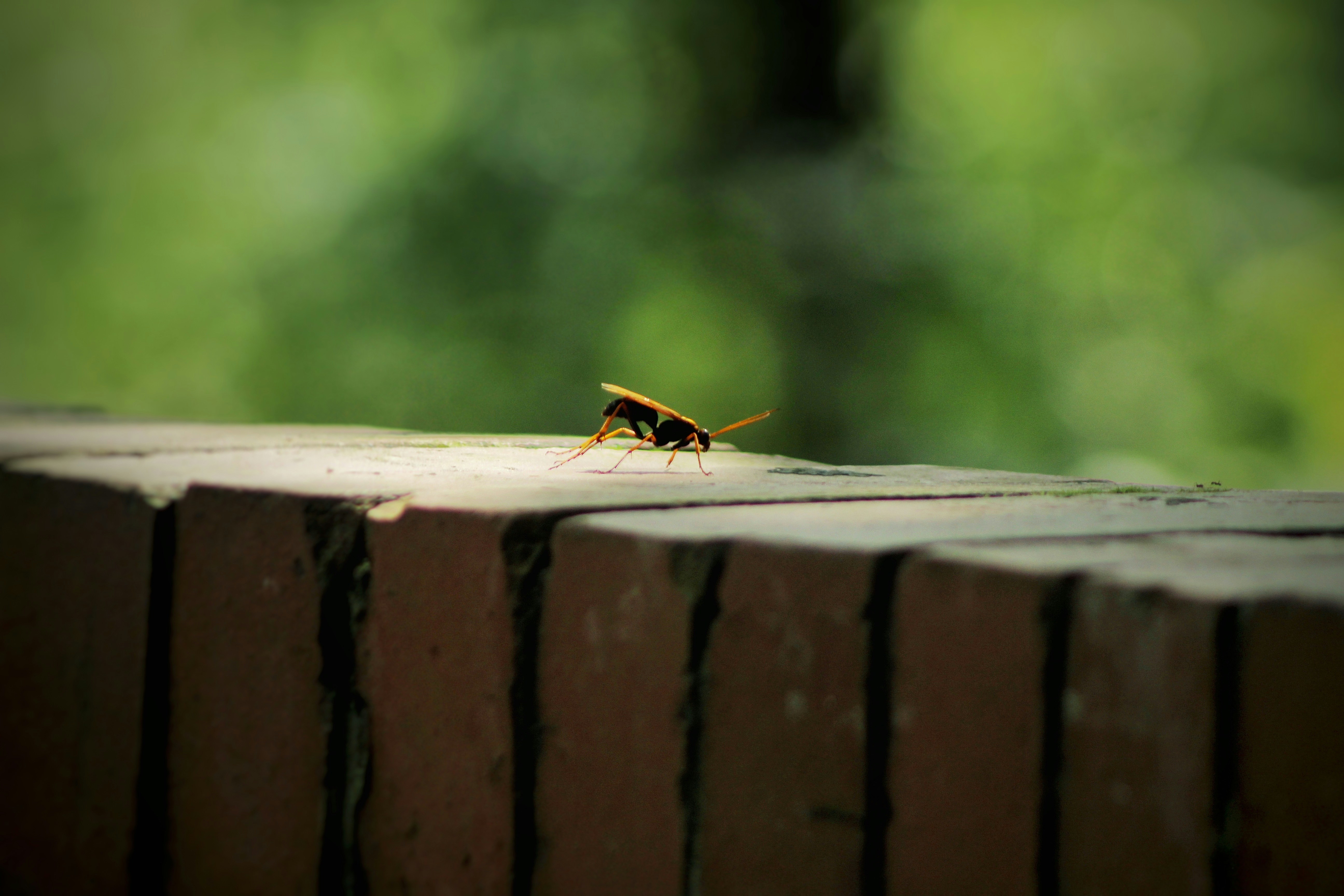 Security, Resilience and UX: Preparing CashPlus Merchant APIs and Edge Integrations for 2026