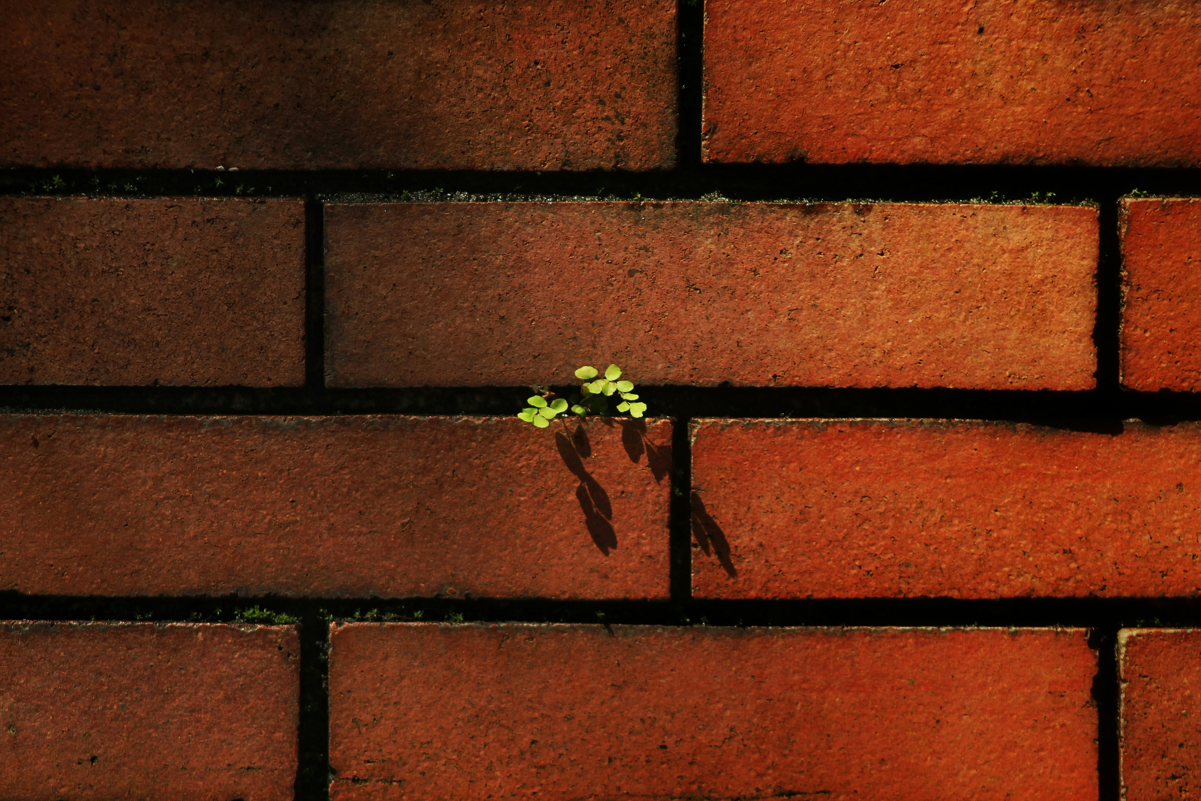 Against all the odds.. 