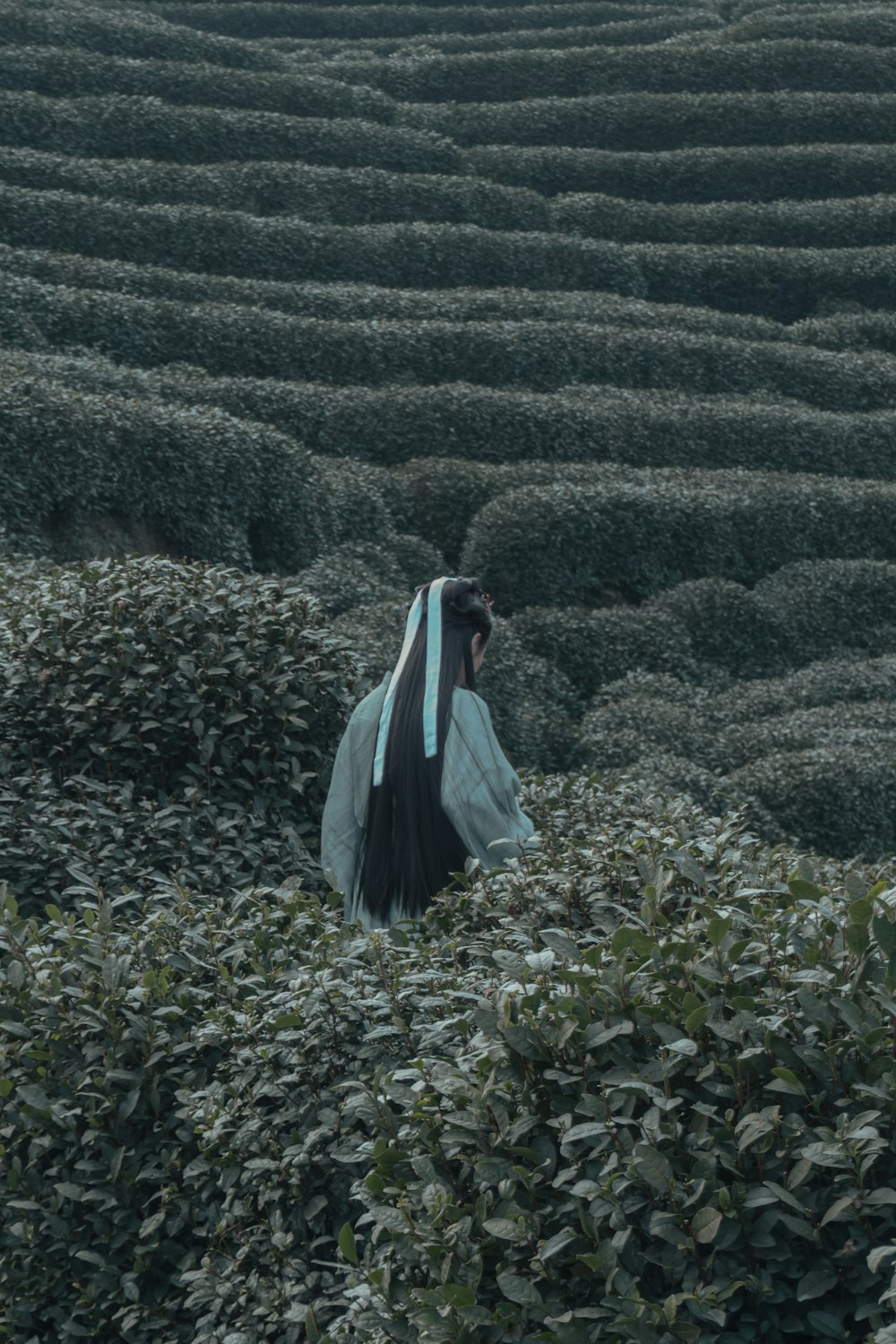 a person standing in a field of plants