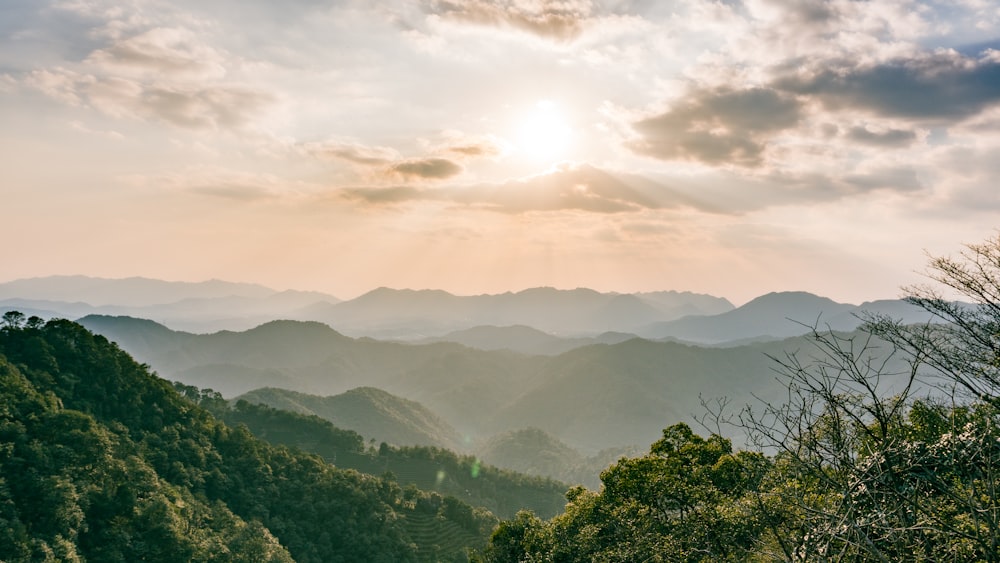 a view of a valley with trees and mountains in the background