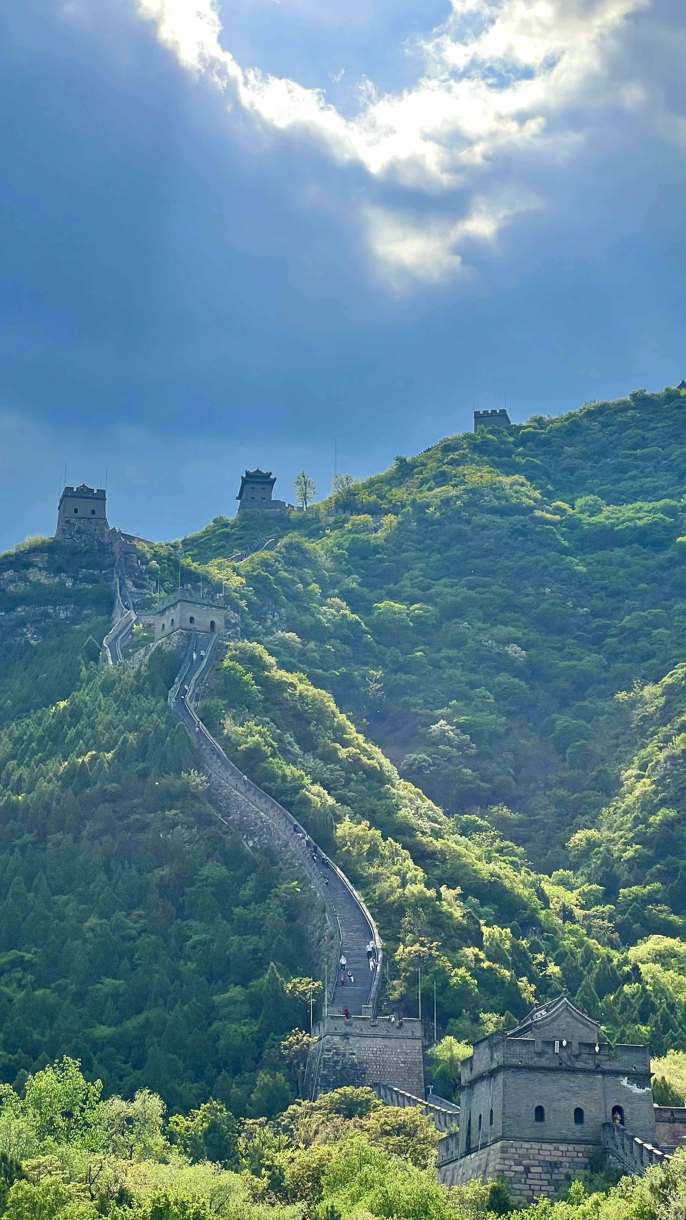 Chinese Castle Rock Menu