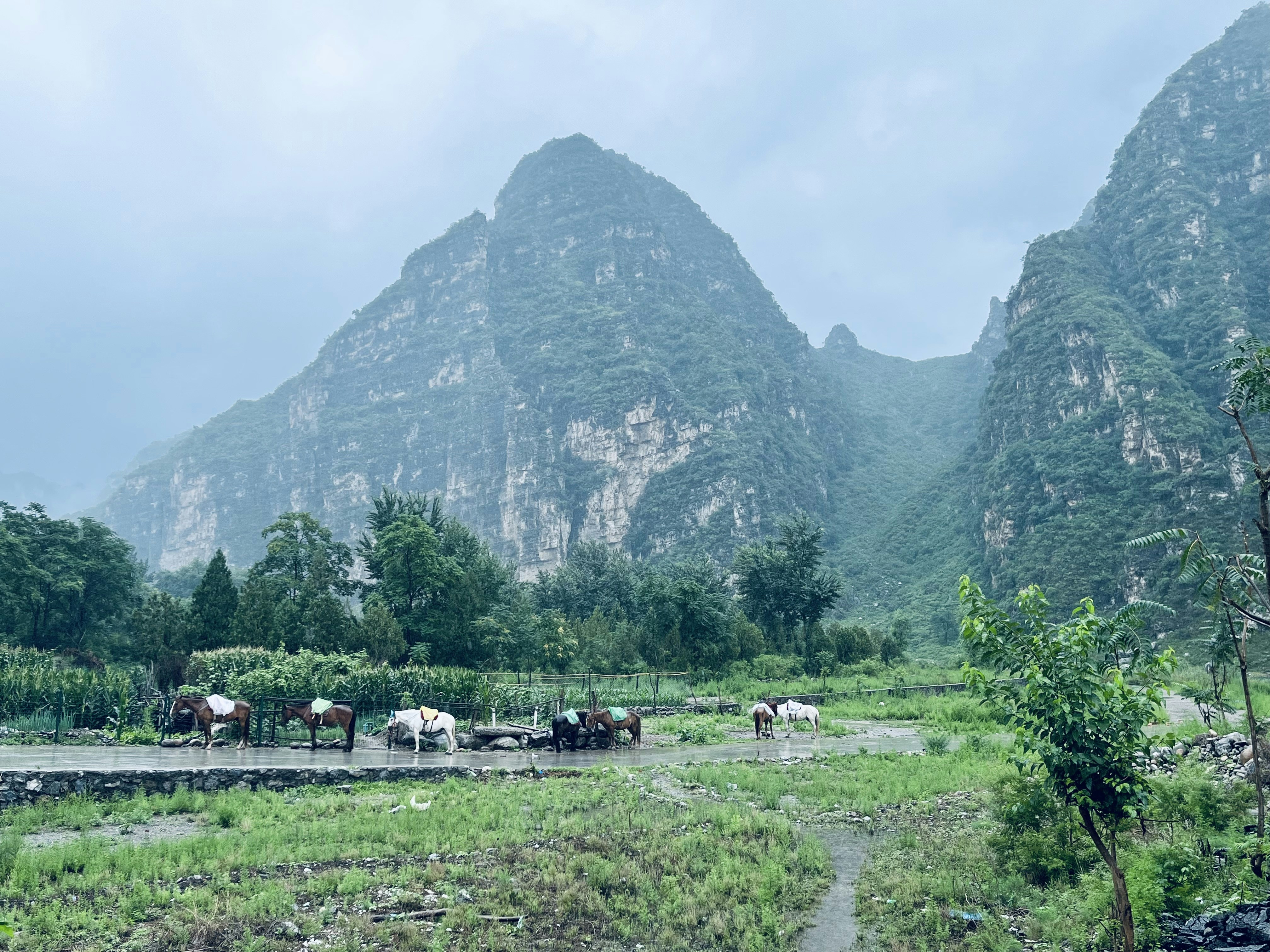 黑龙江旅游包车多少钱