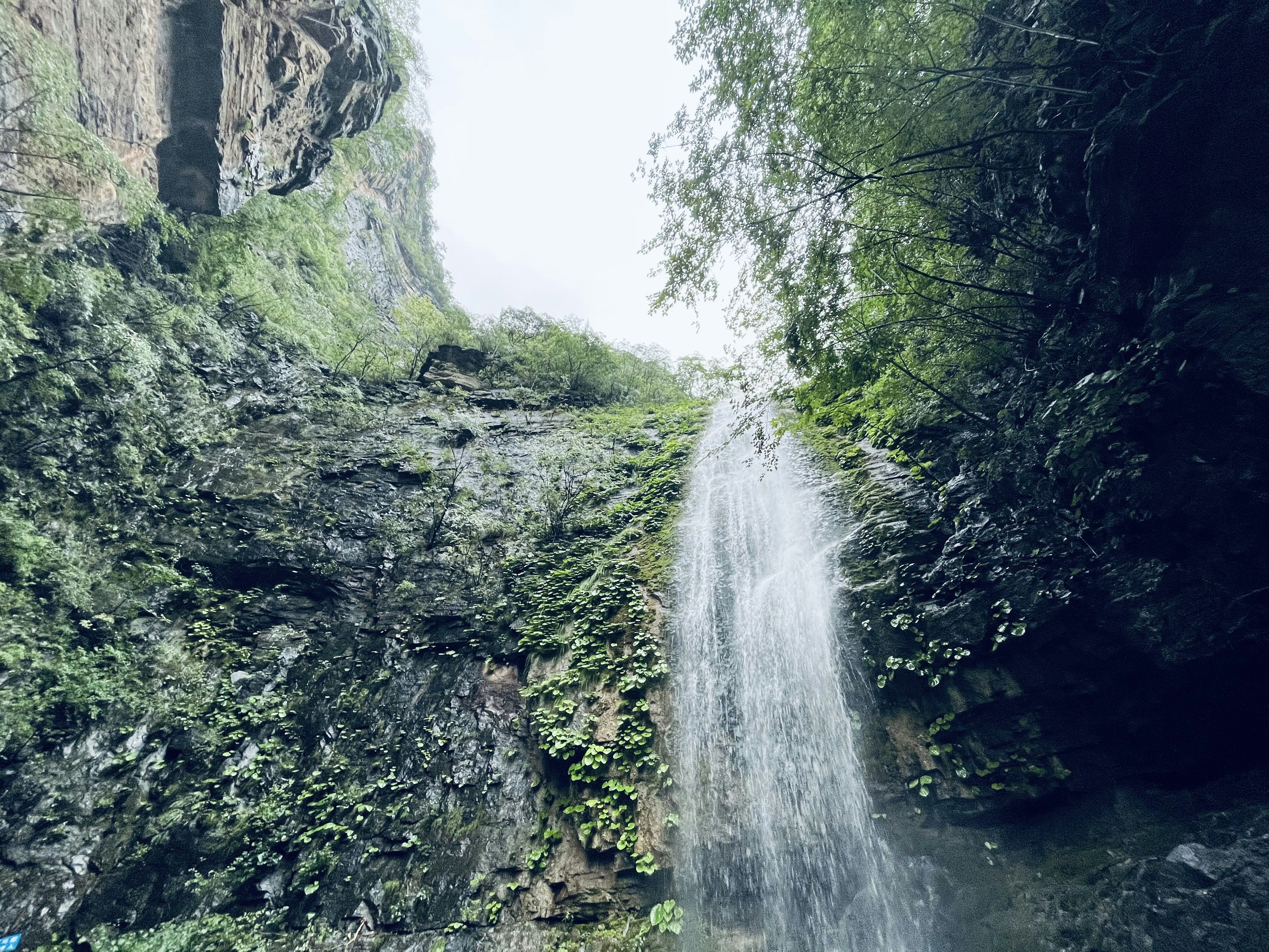 Photo by danny_chen_