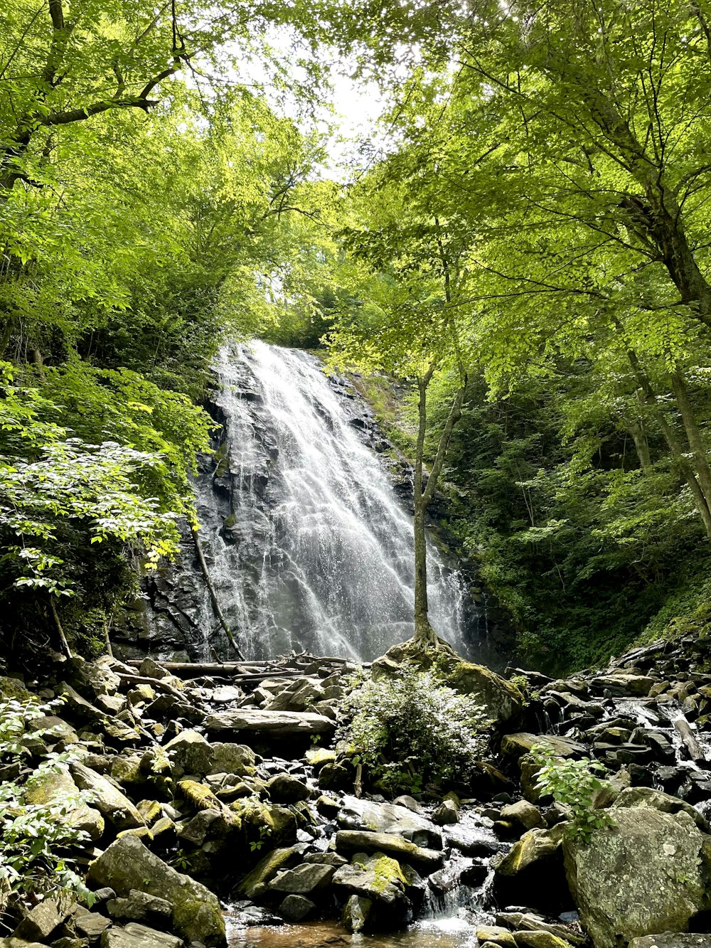 a waterfall in a forest