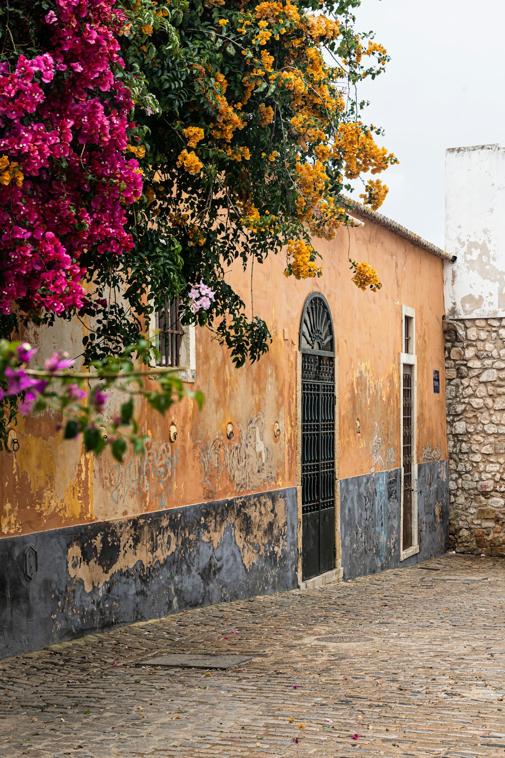 a wall with flowers growing on it