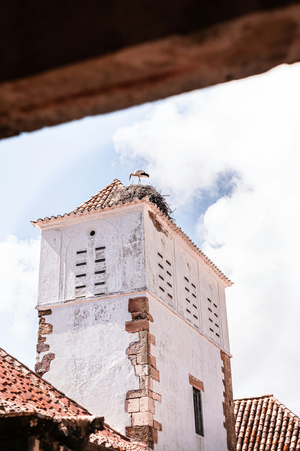 a bird on a building