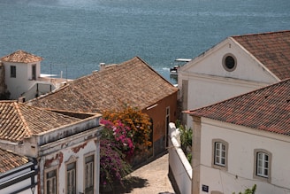 a row of houses by the water