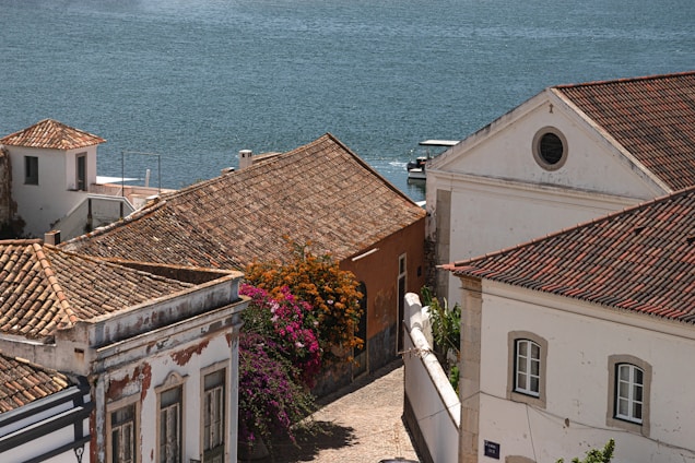 a row of houses by the water