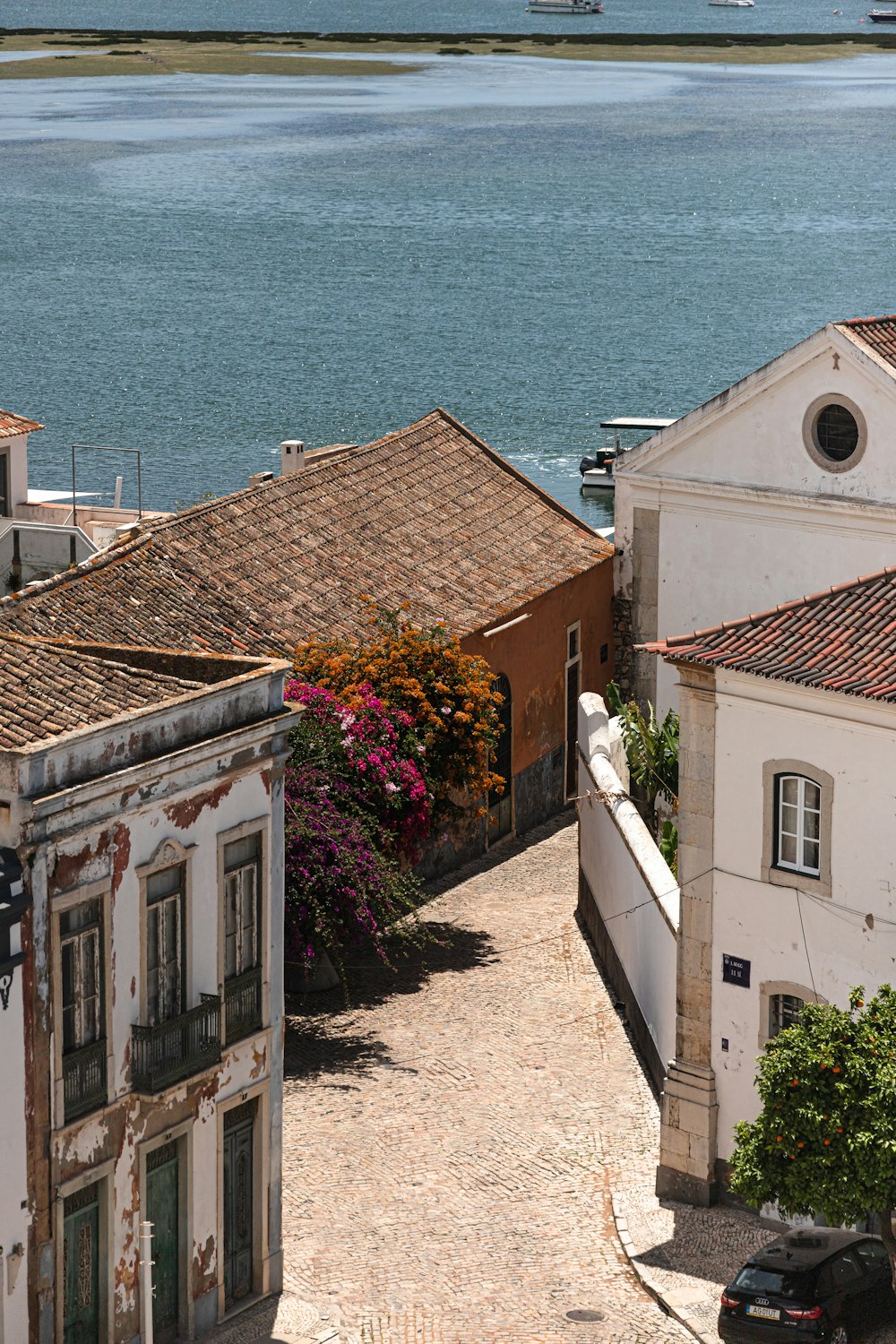 a path with buildings and flowers by the water