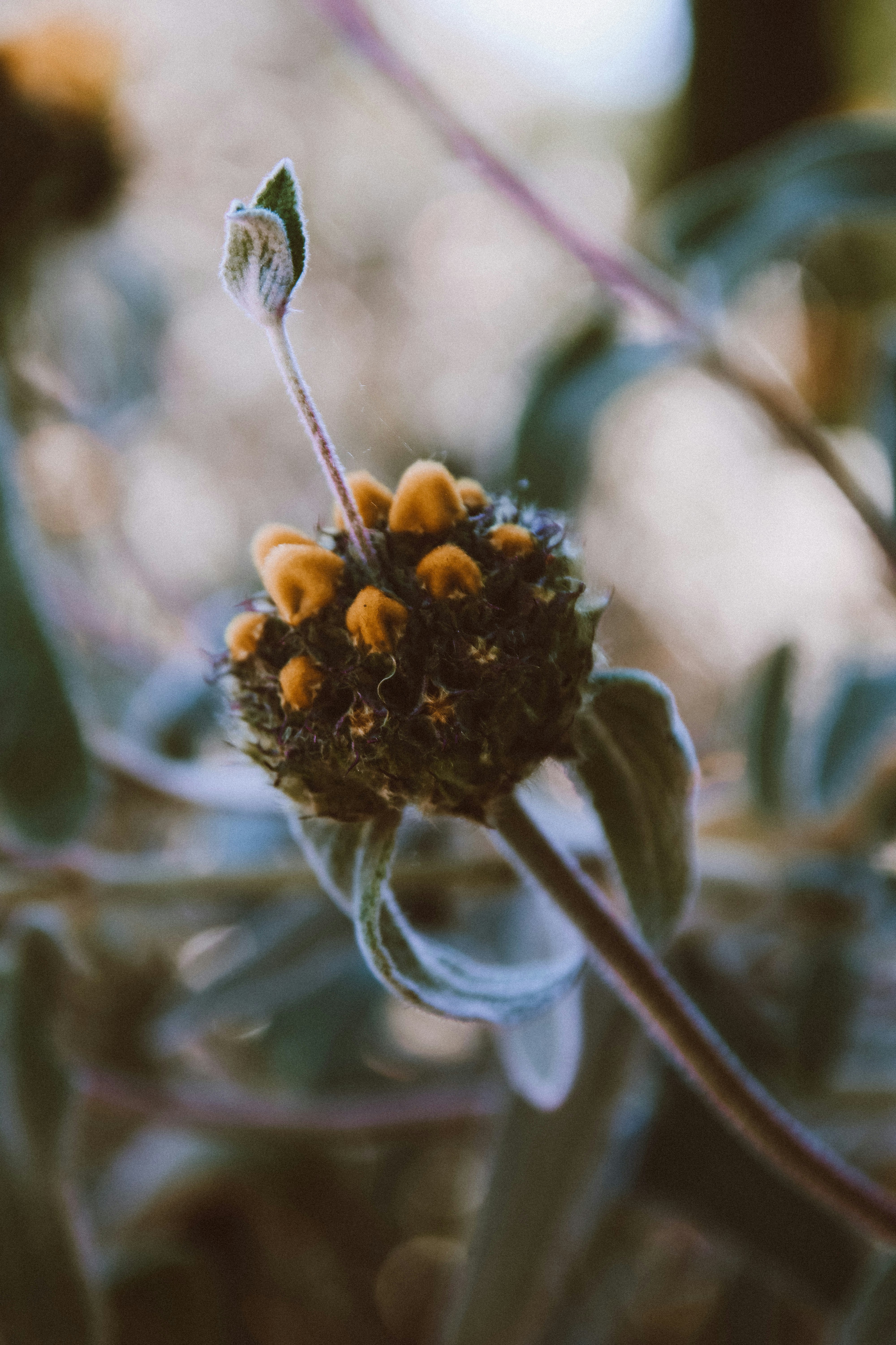 Photo by lanathegraves