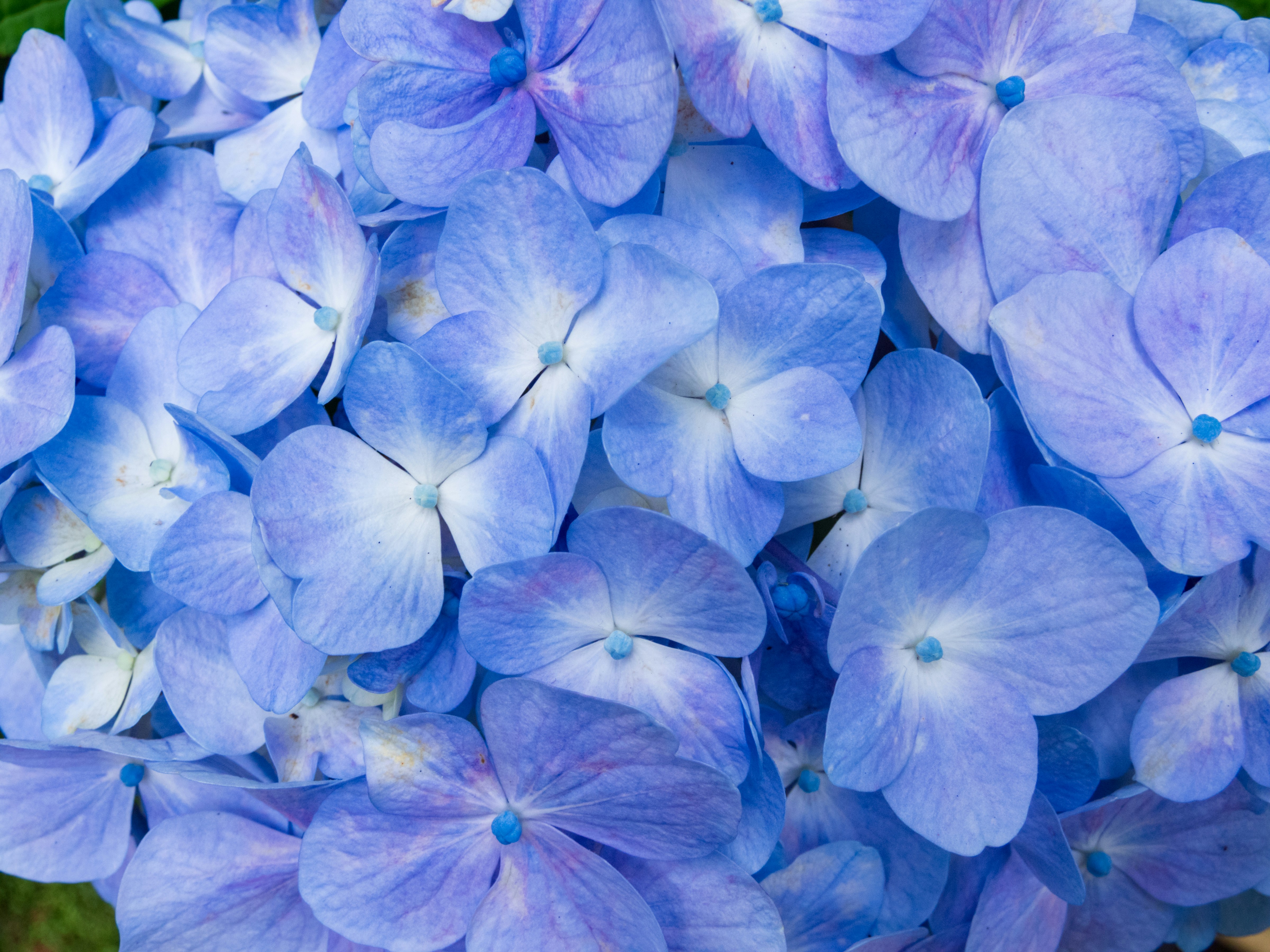 Photo by heppoko_yama