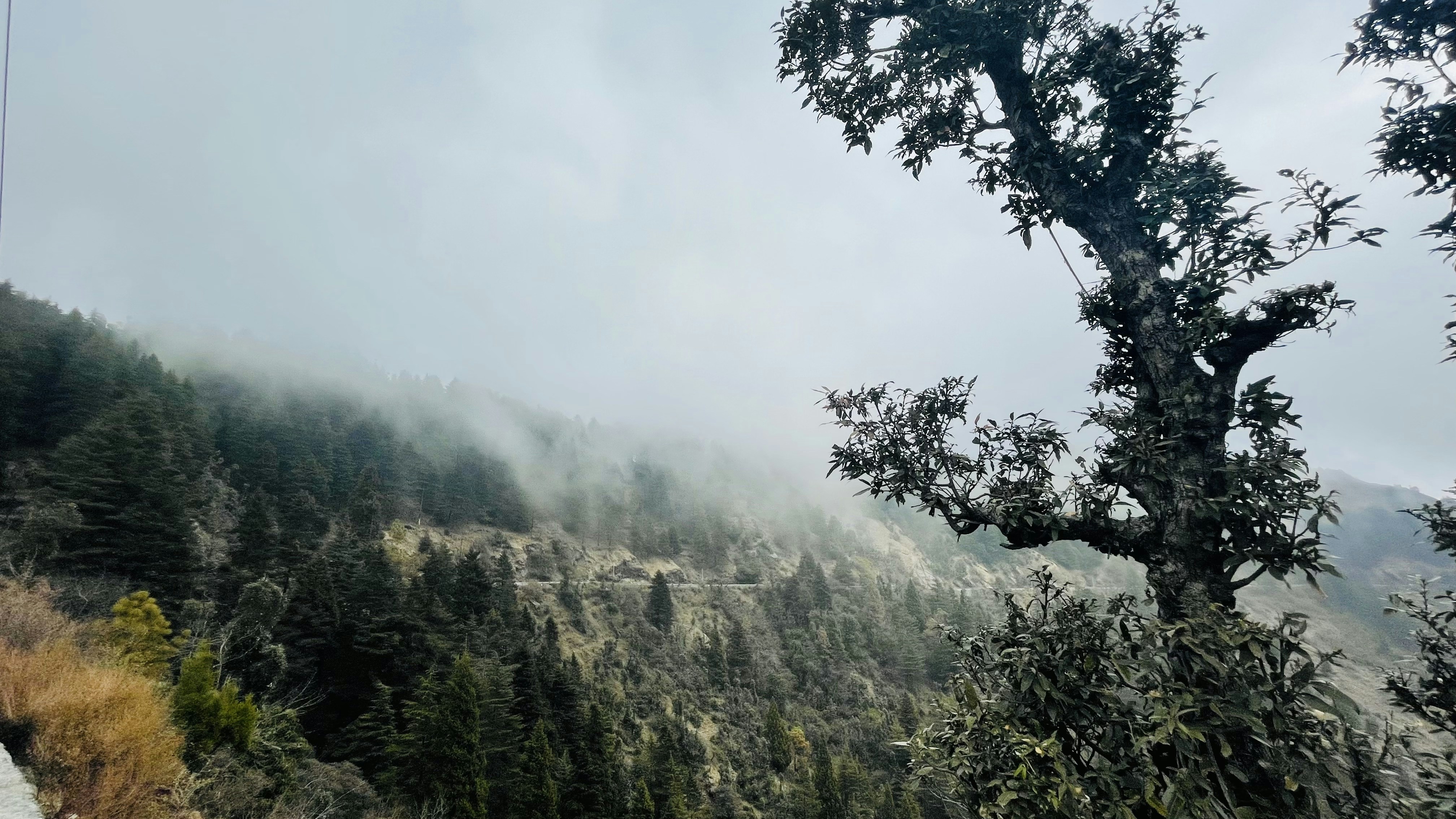 Photo by adityabikram