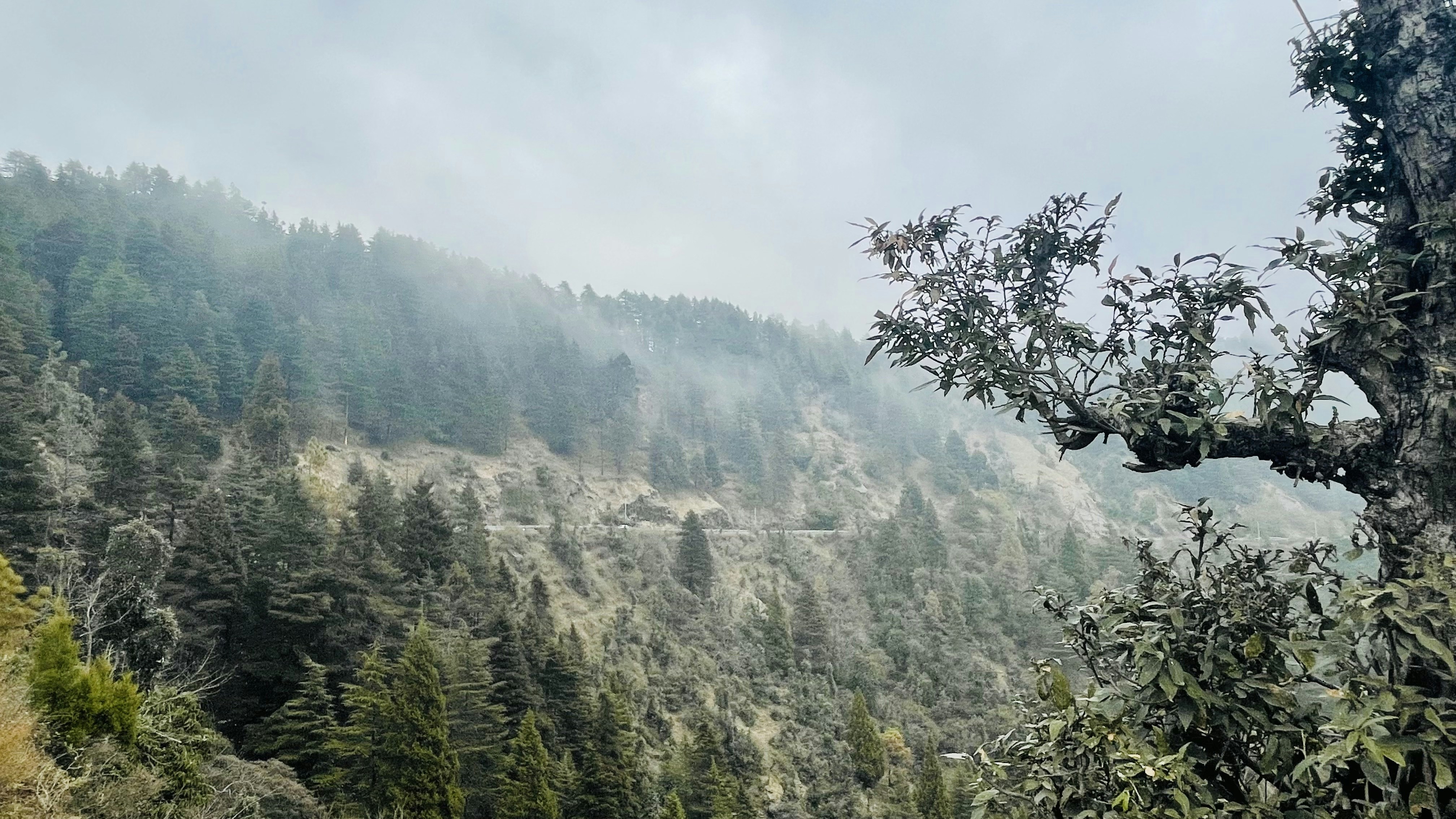 Photo by adityabikram