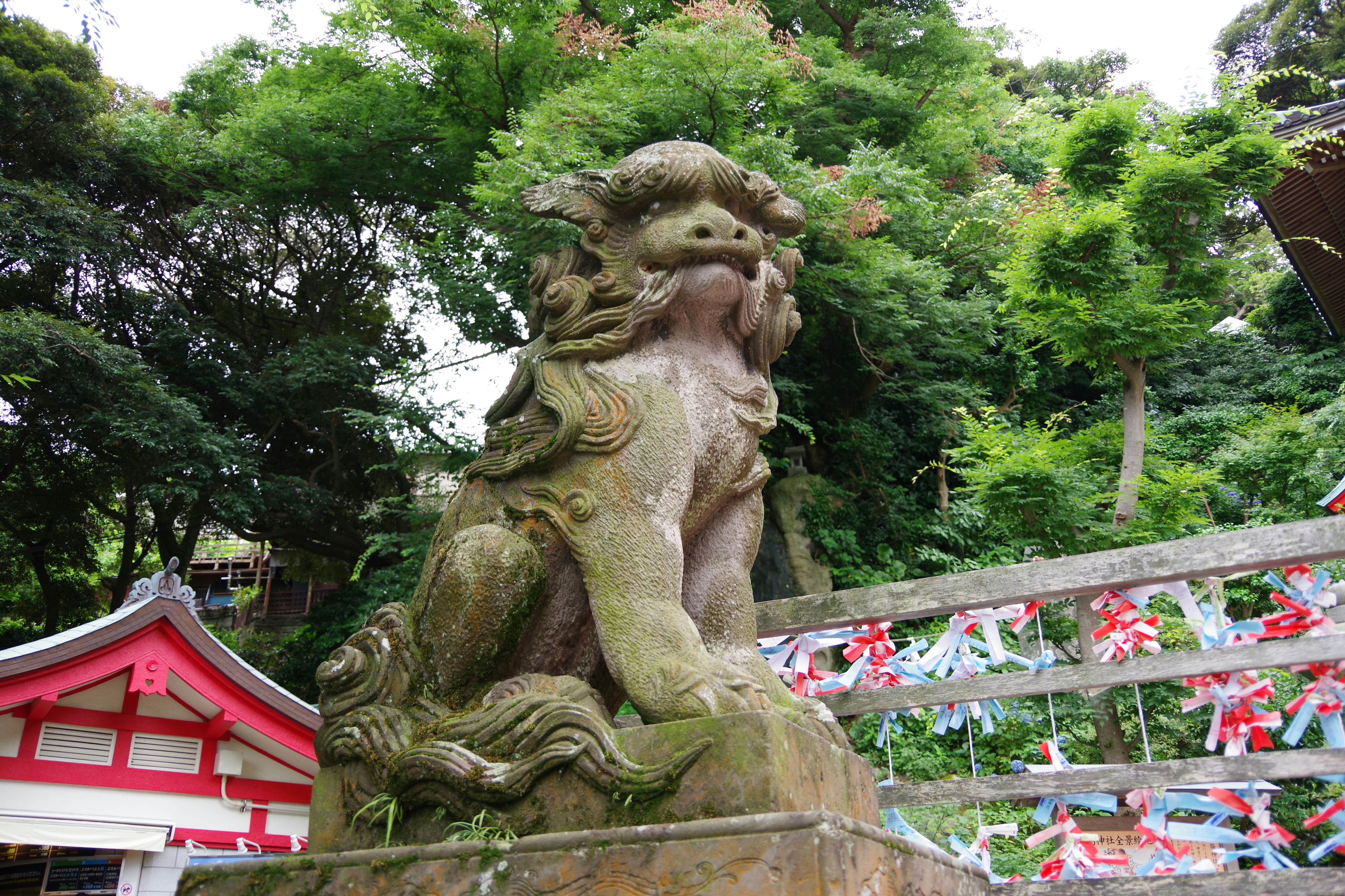 Photo by manikandan_s