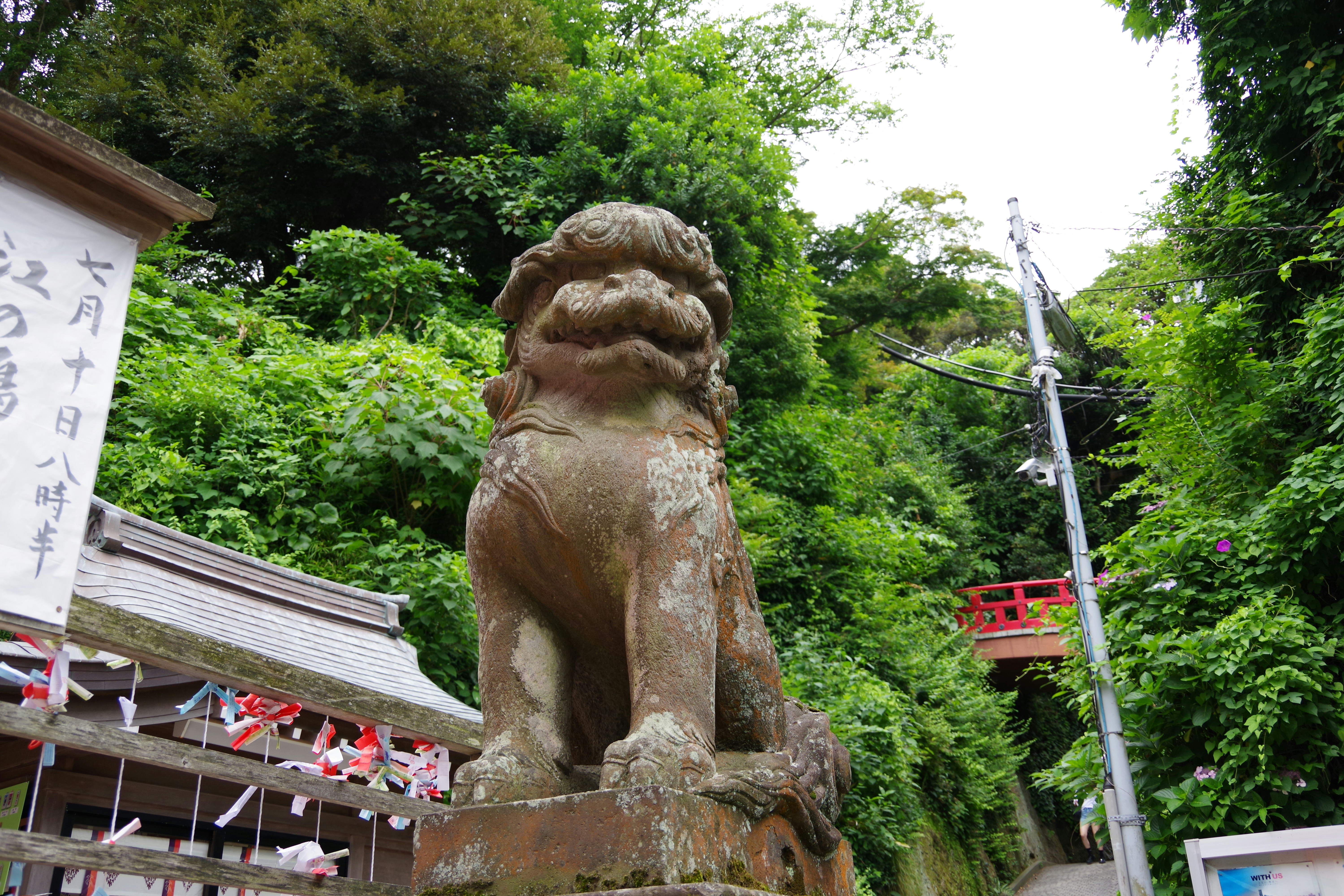 Photo by manikandan_s