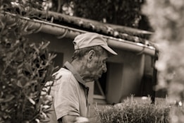 a man looking at a tree