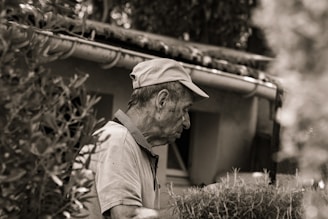 a man looking at a tree