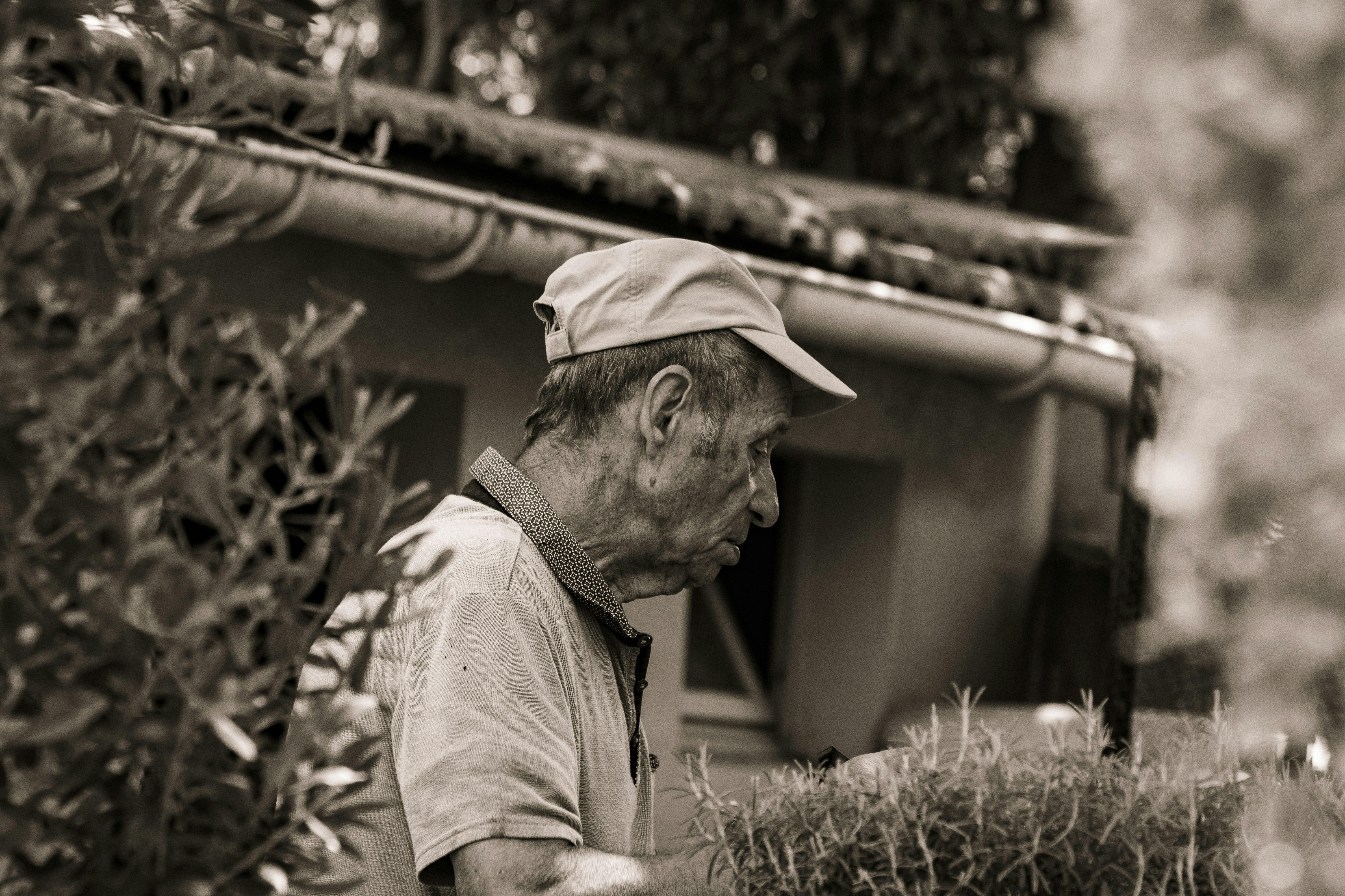 a man looking at a tree