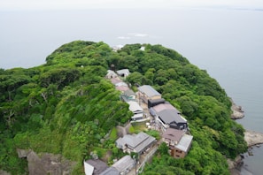 An aerial view of a lush green hill overlooking the sea. Numerous buildings with various roof types are nestled among the dense foliage, suggesting a secluded settlement or retreat. The surrounding area is heavily wooded, with vibrant greenery dominating the landscape.