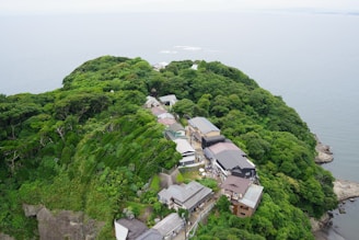 An aerial view of a lush green hill overlooking the sea. Numerous buildings with various roof types are nestled among the dense foliage, suggesting a secluded settlement or retreat. The surrounding area is heavily wooded, with vibrant greenery dominating the landscape.