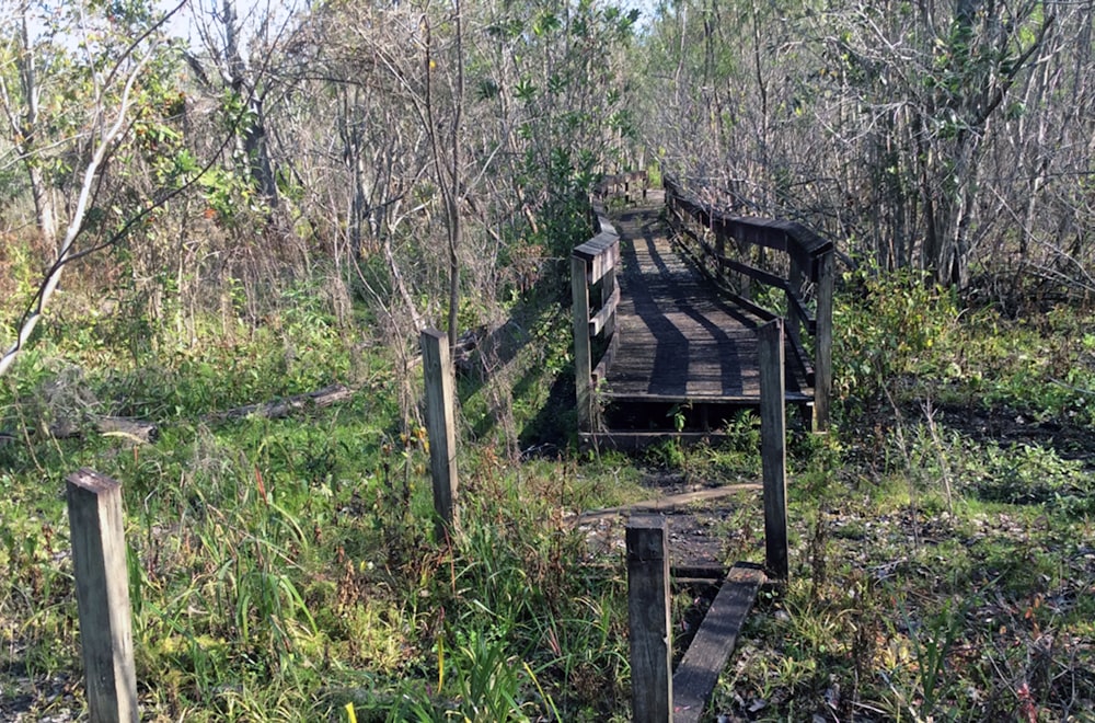 a wooden bridge over a stream