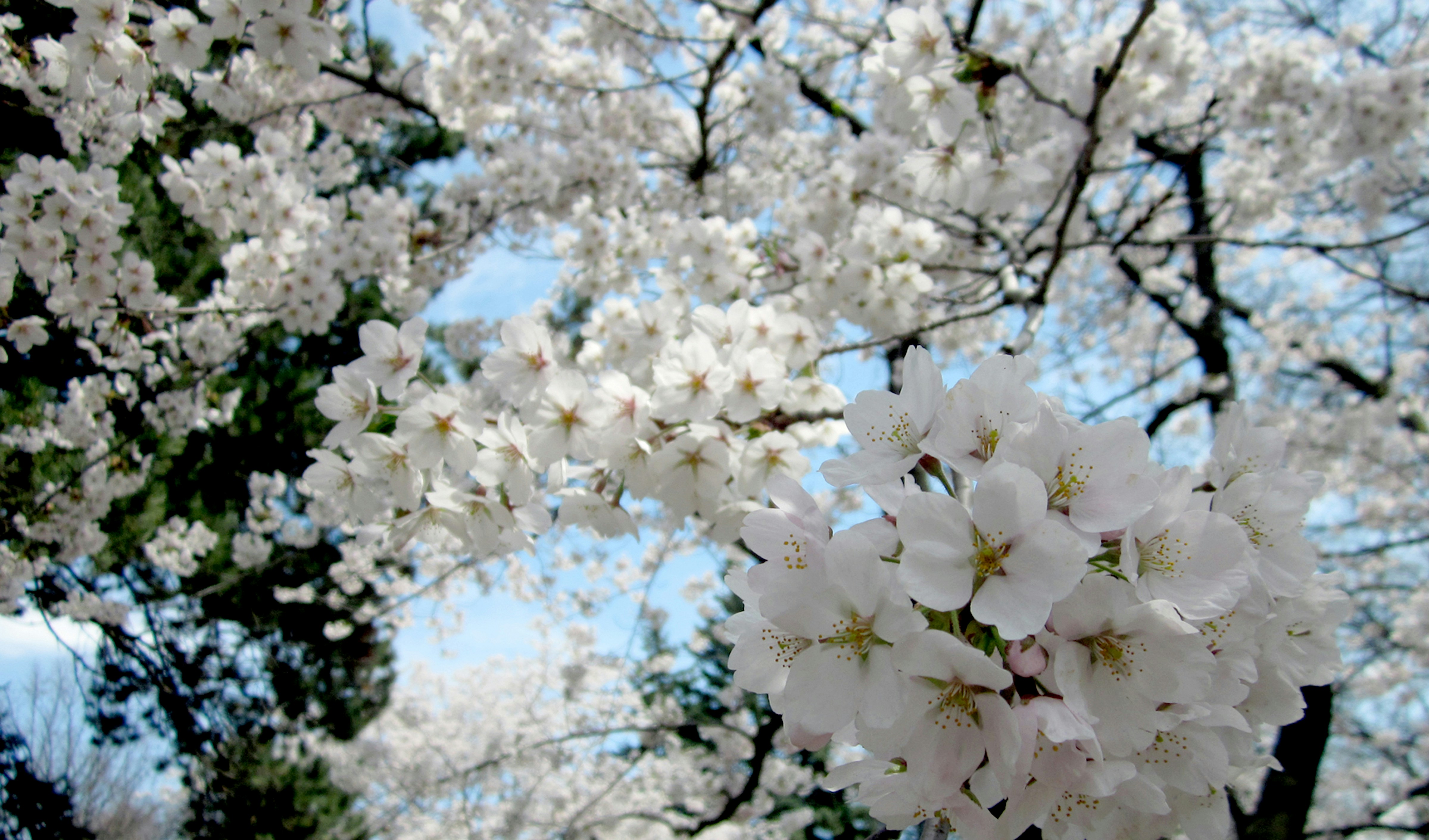 Photo by perspektive