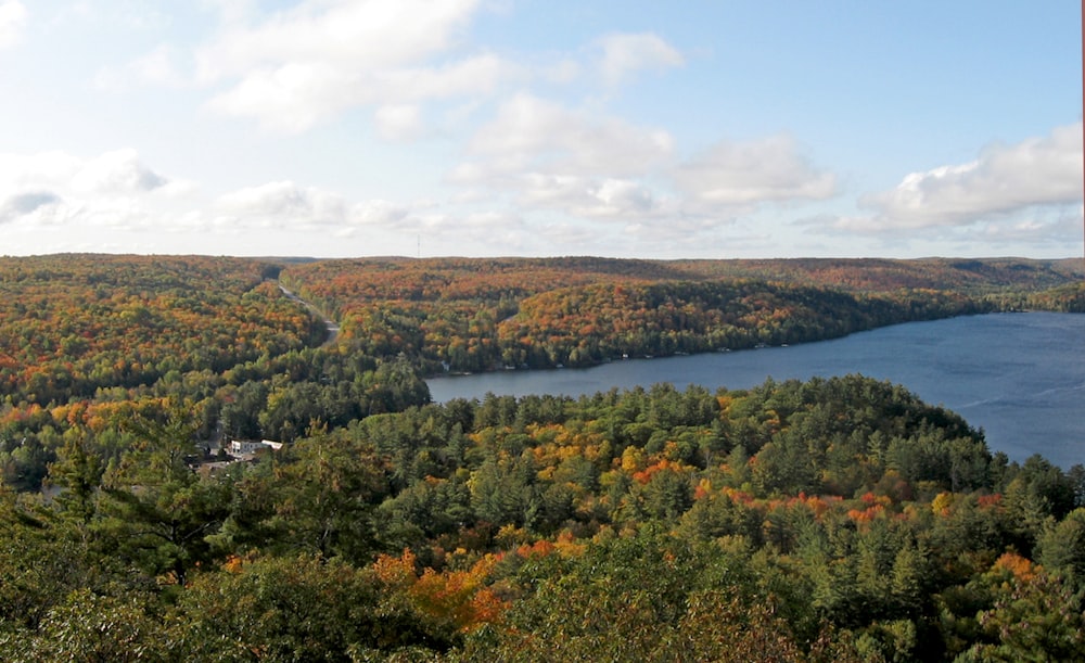 a lake surrounded by trees