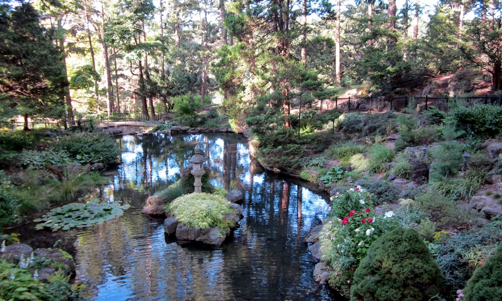 a pond with rocks and plants