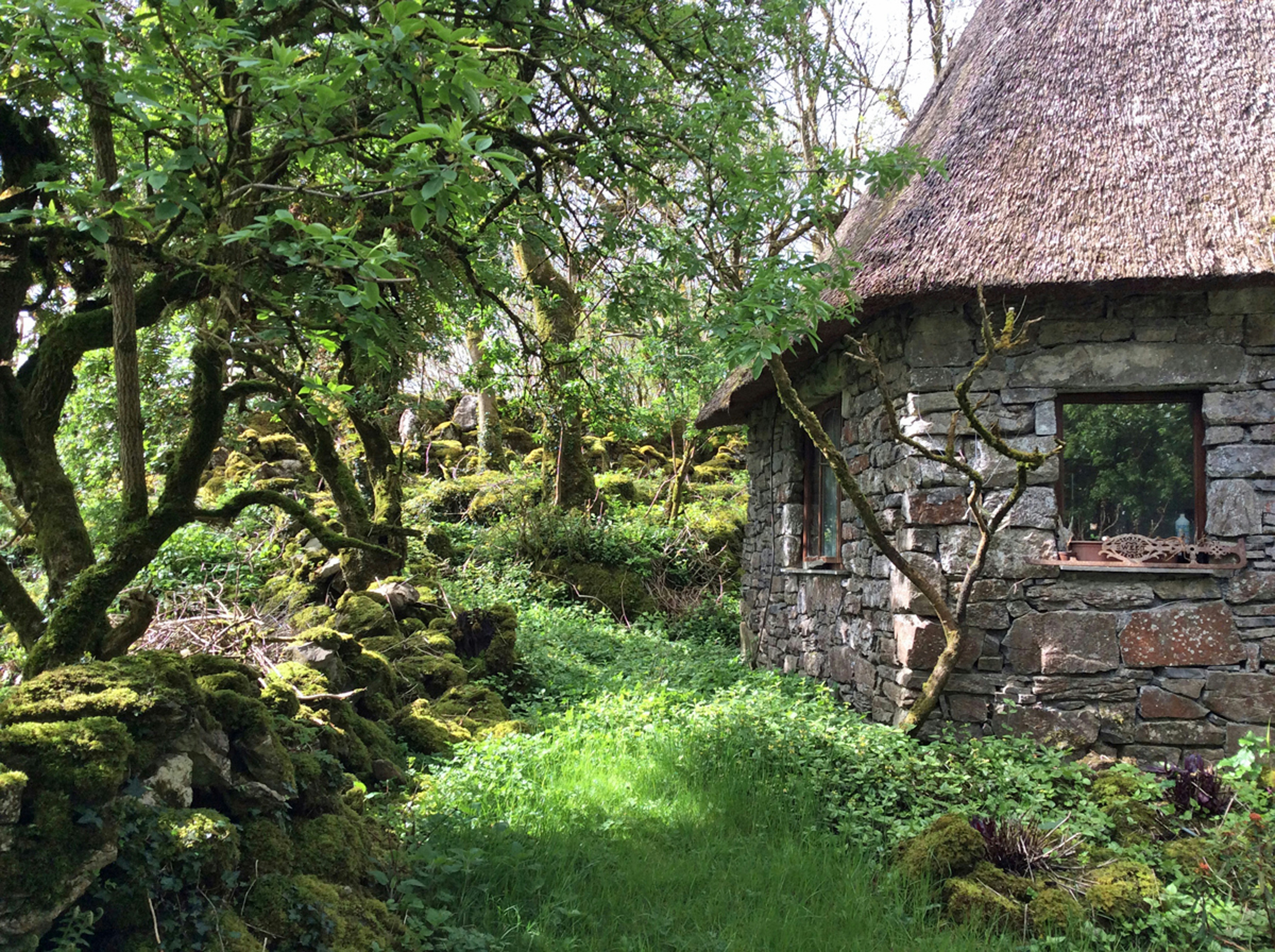 Stone cottage with a thatched roof beside a mossy wall and twisty trees.