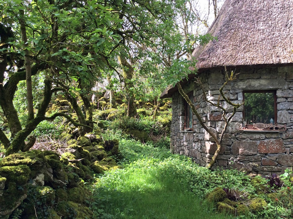 Une maison en pierre dans les bois