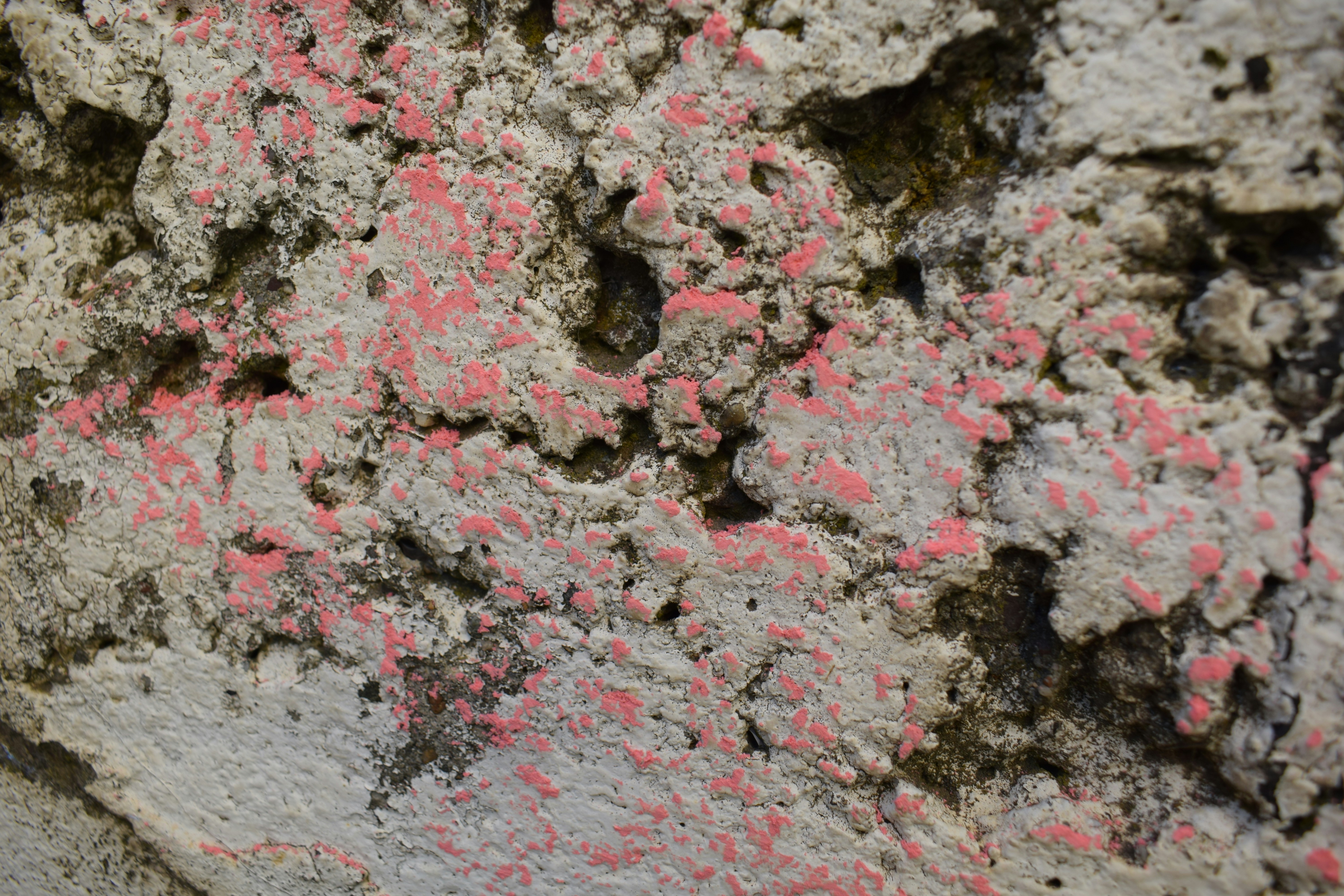 a close up of a rock