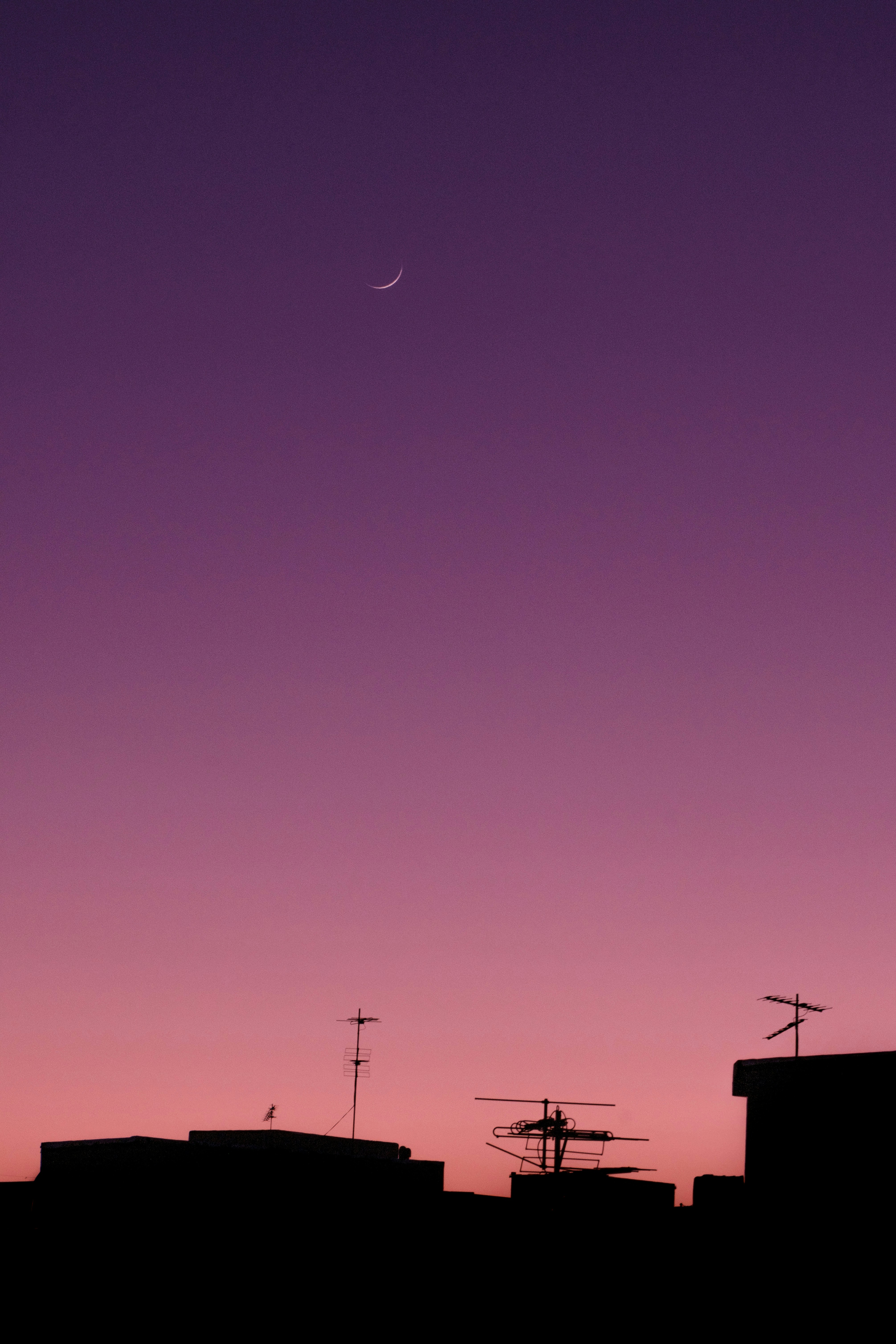 Photo by sajadnori