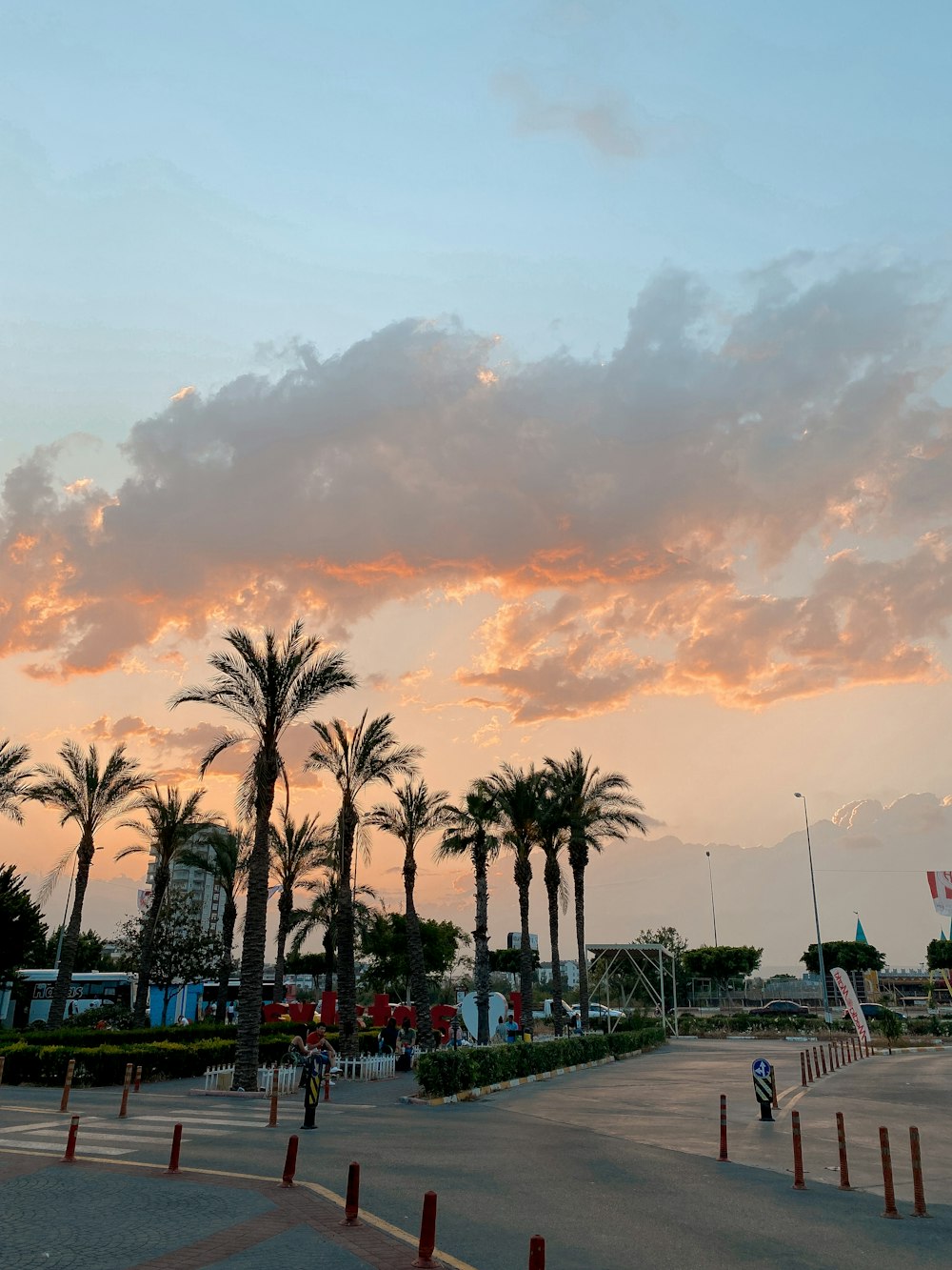 a group of palm trees and a cloudy sky