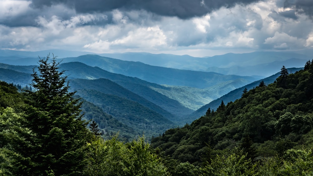 a landscape with trees and hills