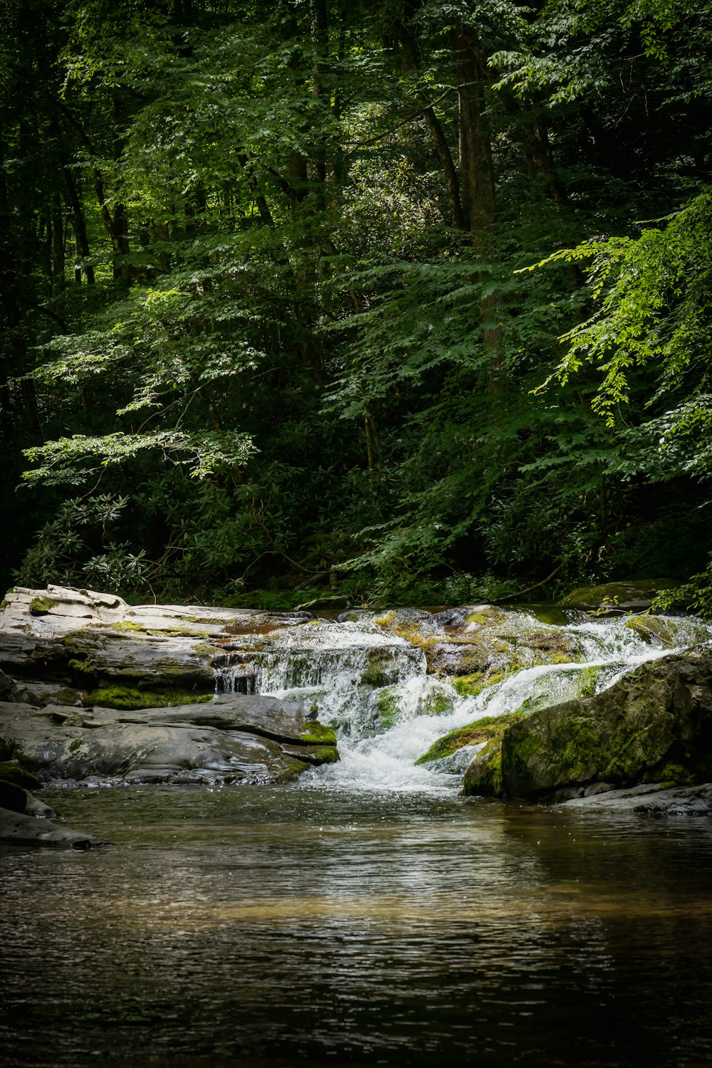 a river with rocks and trees