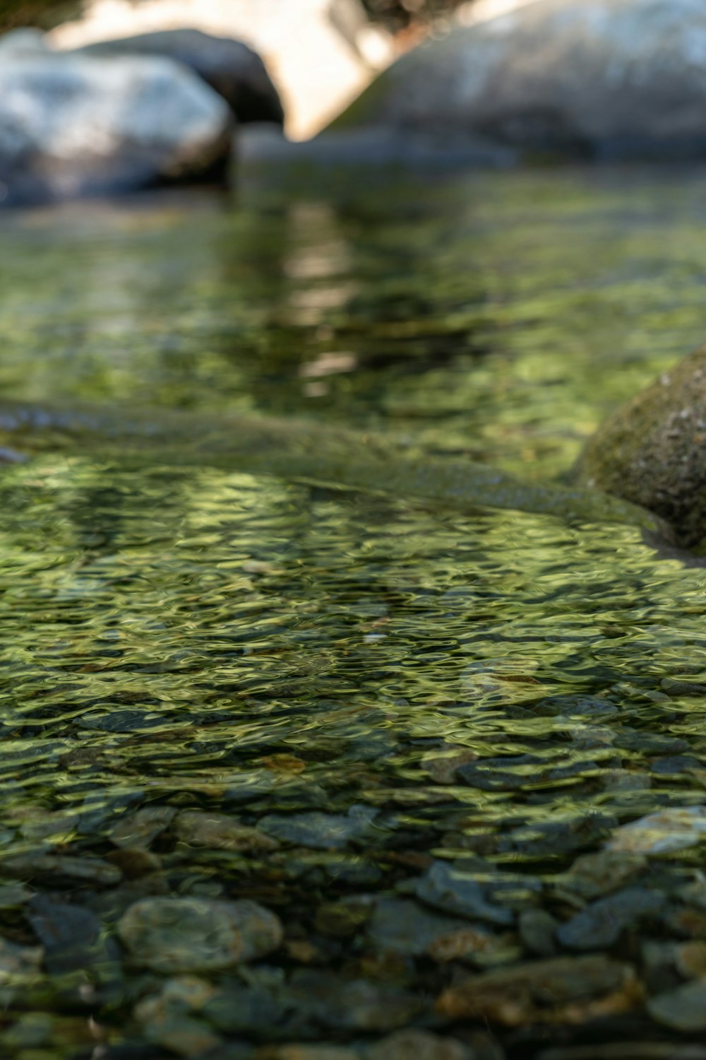 a stream of water with rocks