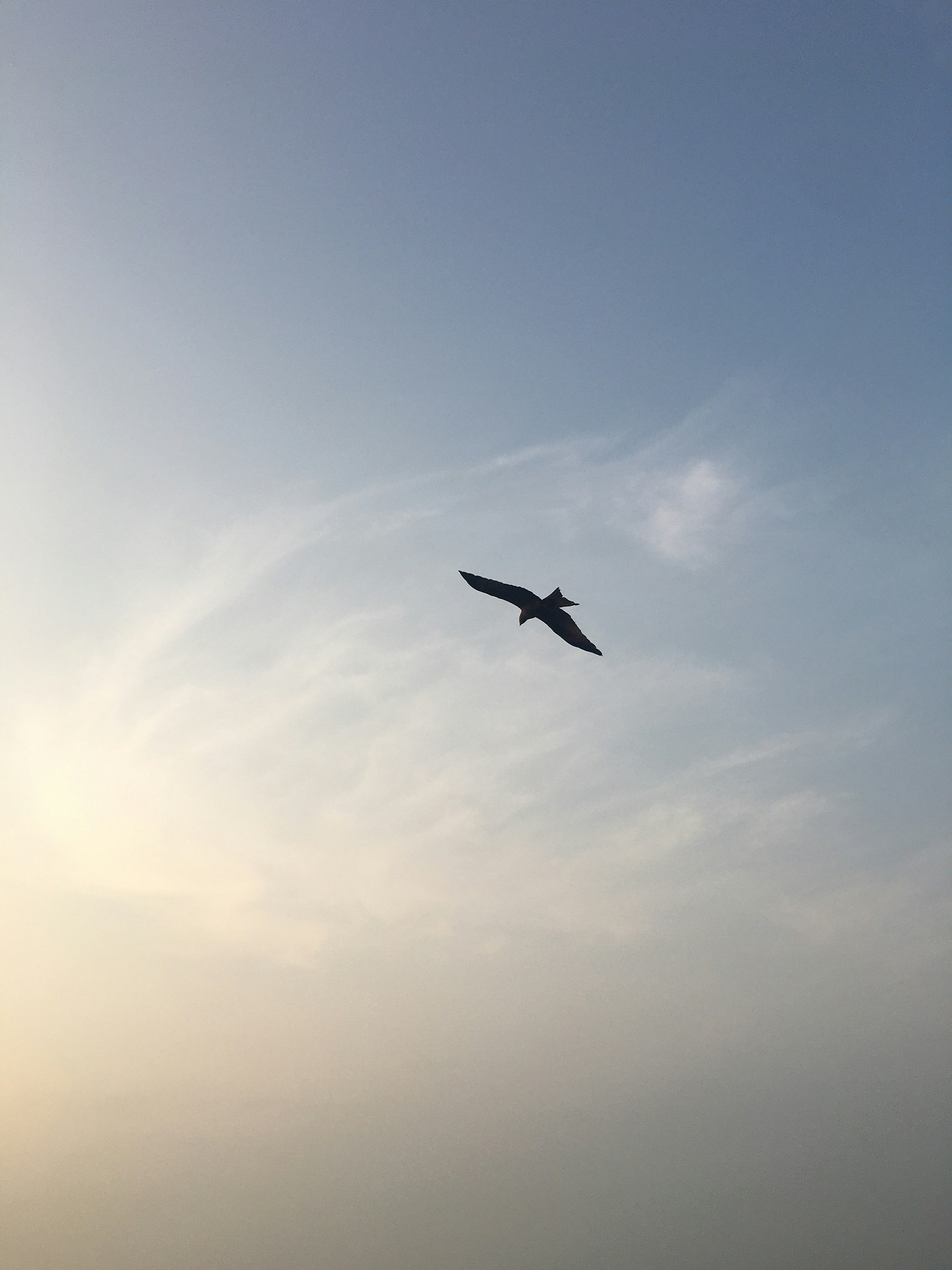 Photo by s_oi_b
