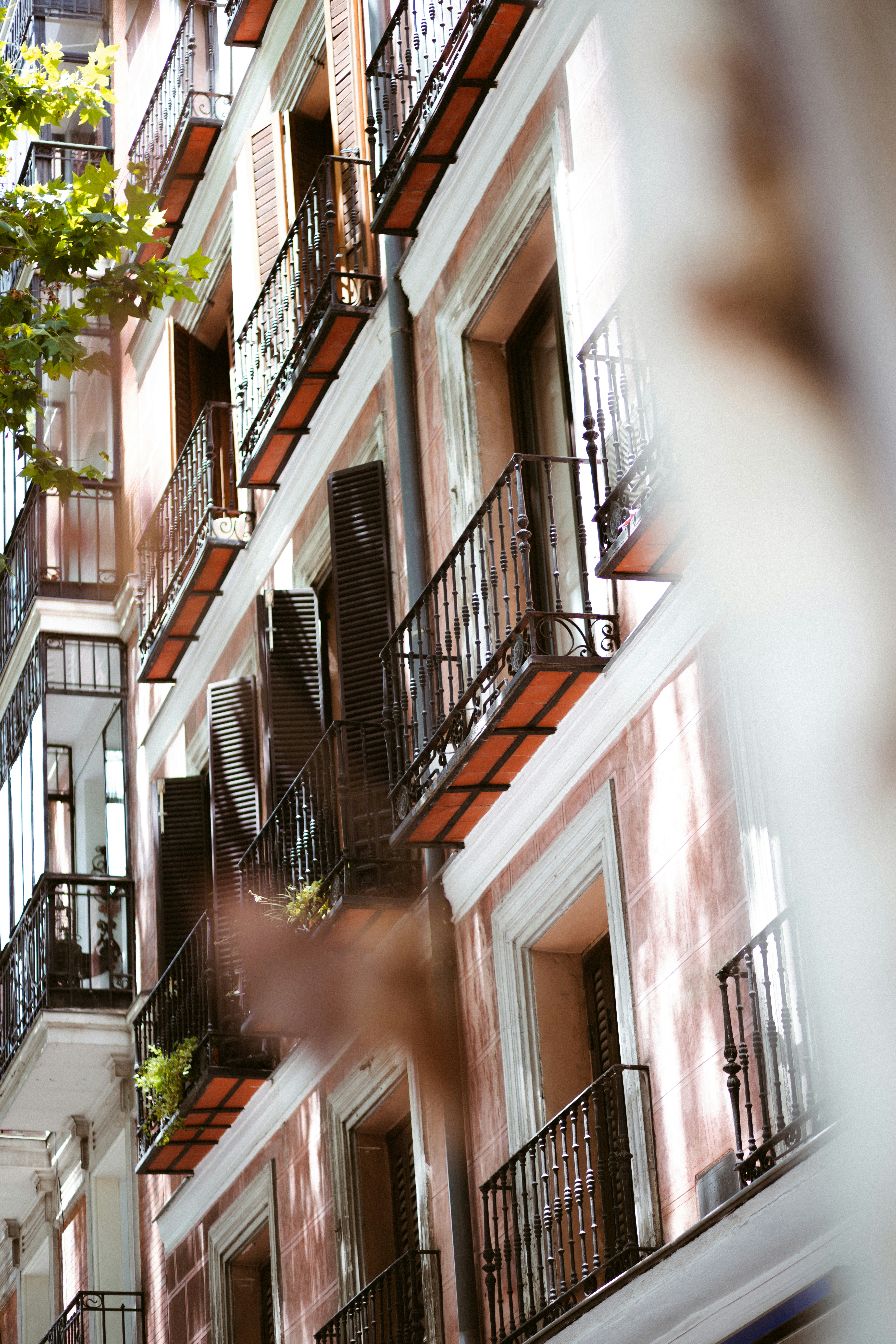 Photo by brunovdkraan