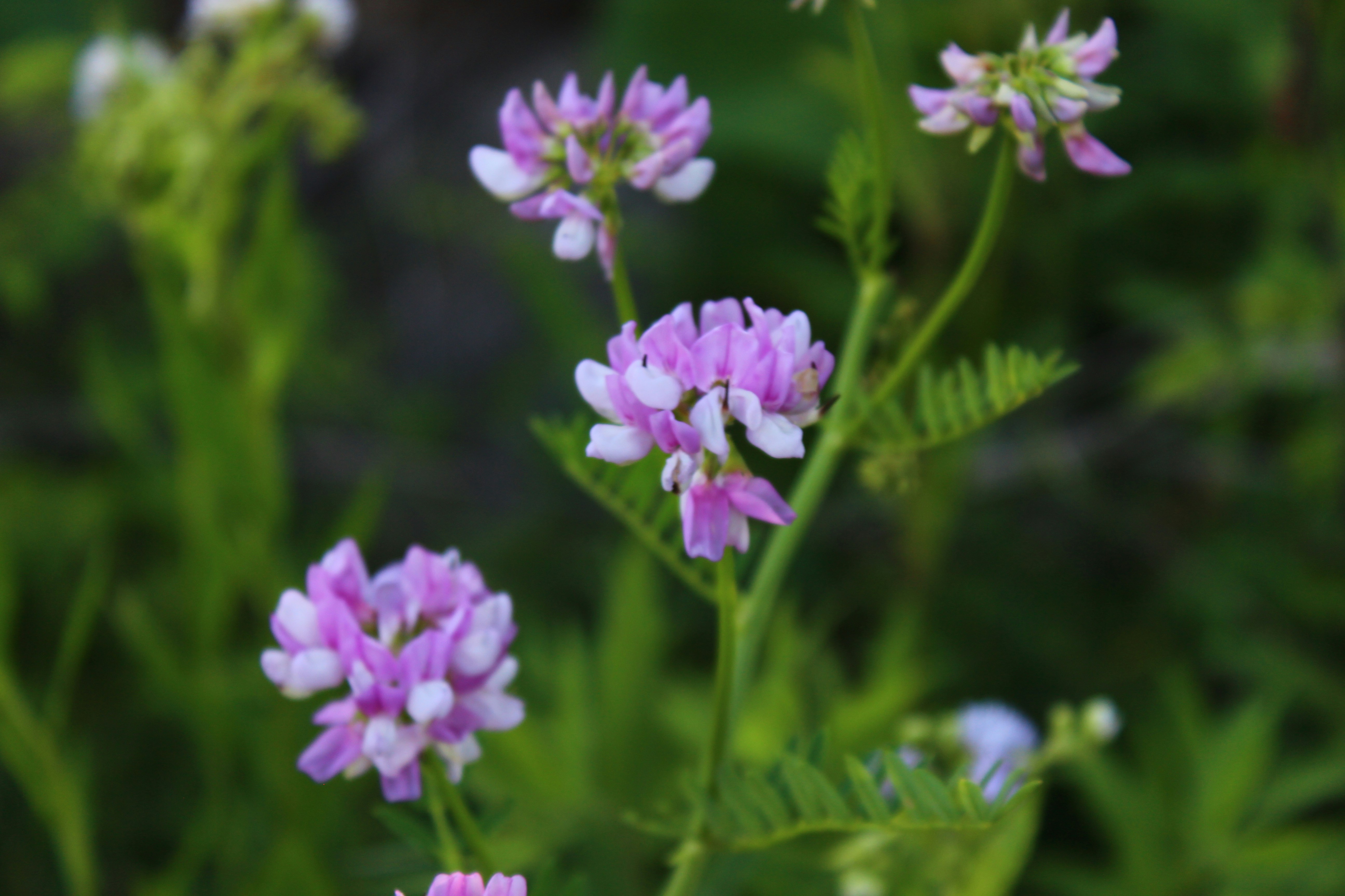 Photo by yoursadclown