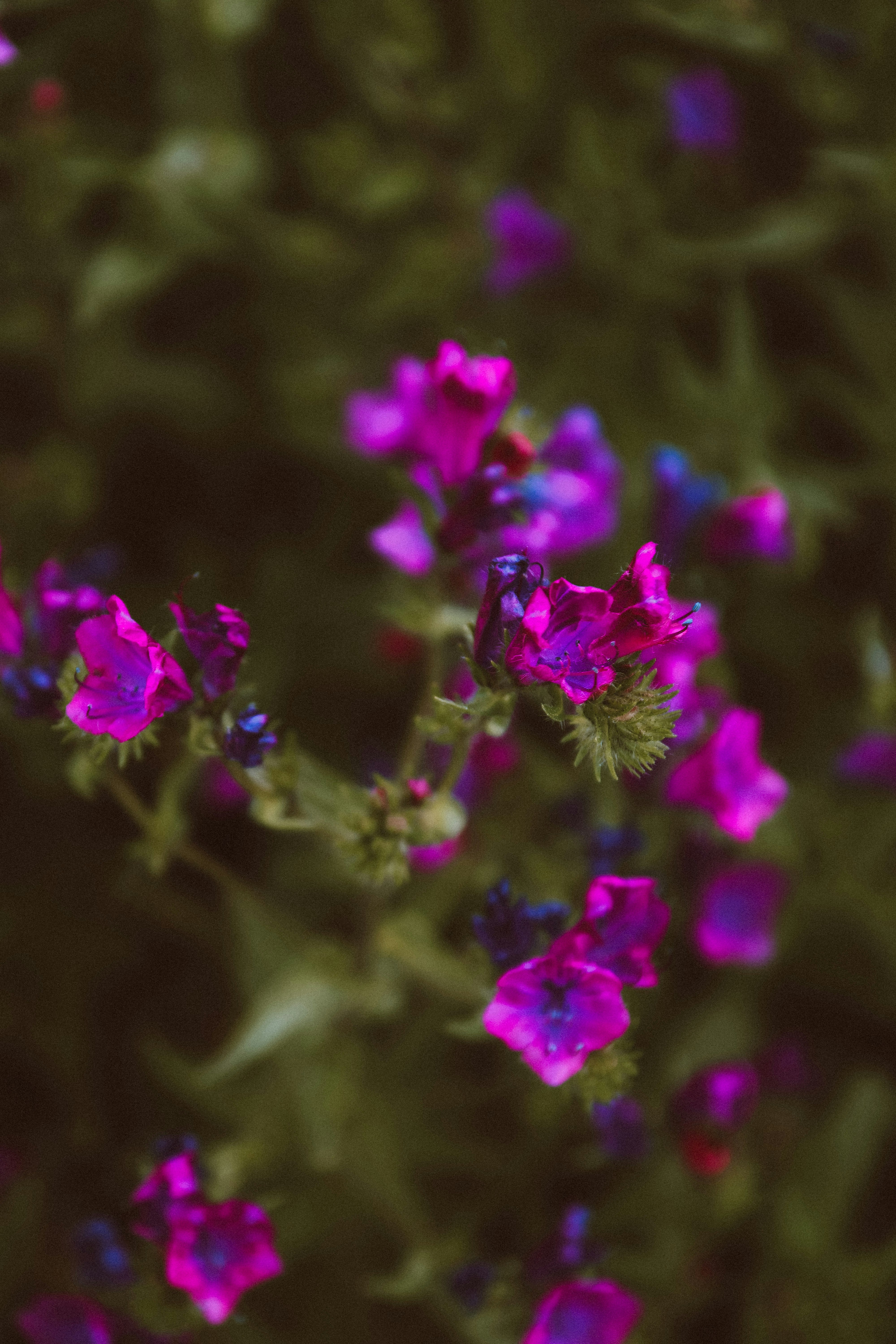 Photo by lanathegraves