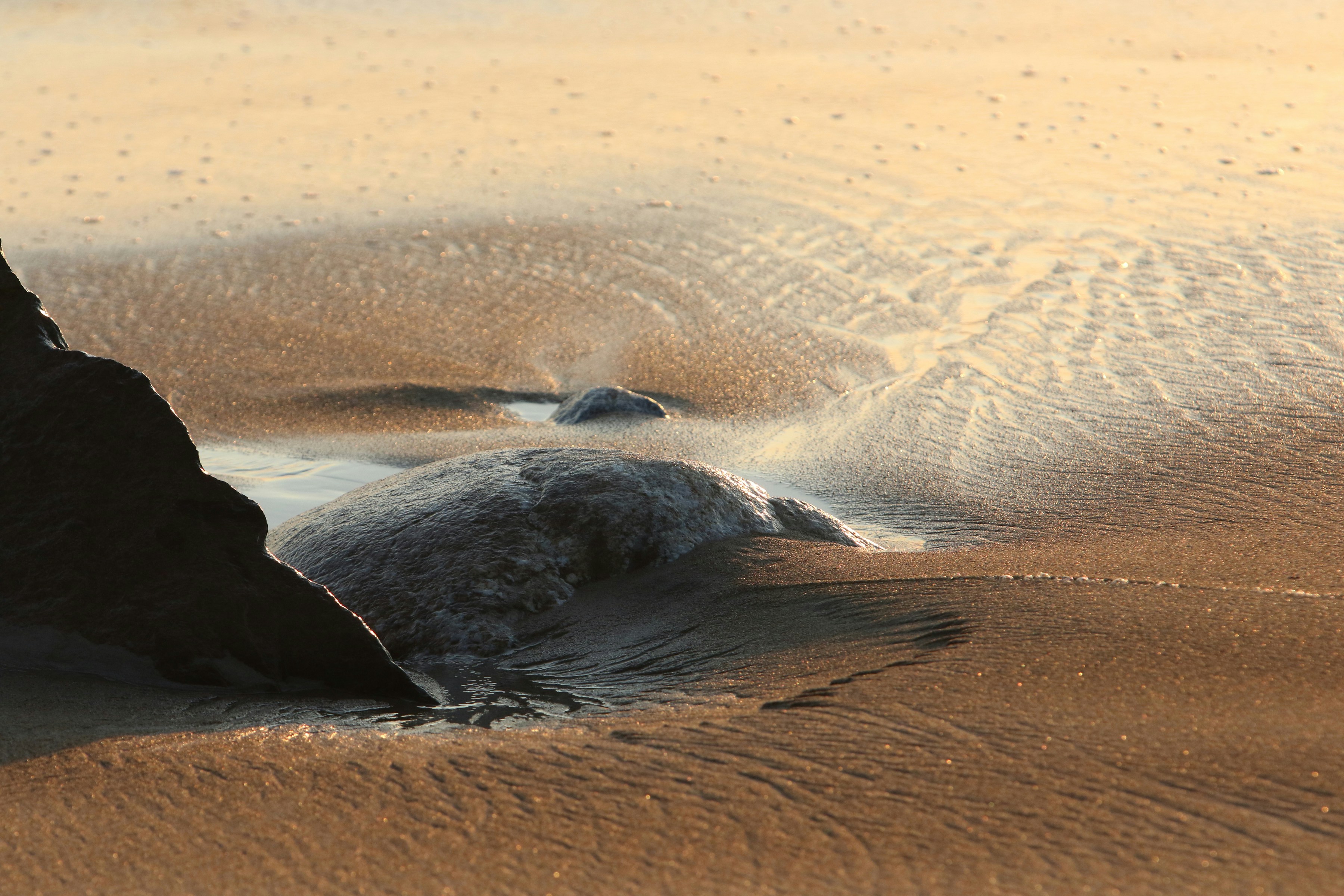 Plunge into Fun: Family-Friendly Hampton Beach NH Hotels with Exciting Amenities