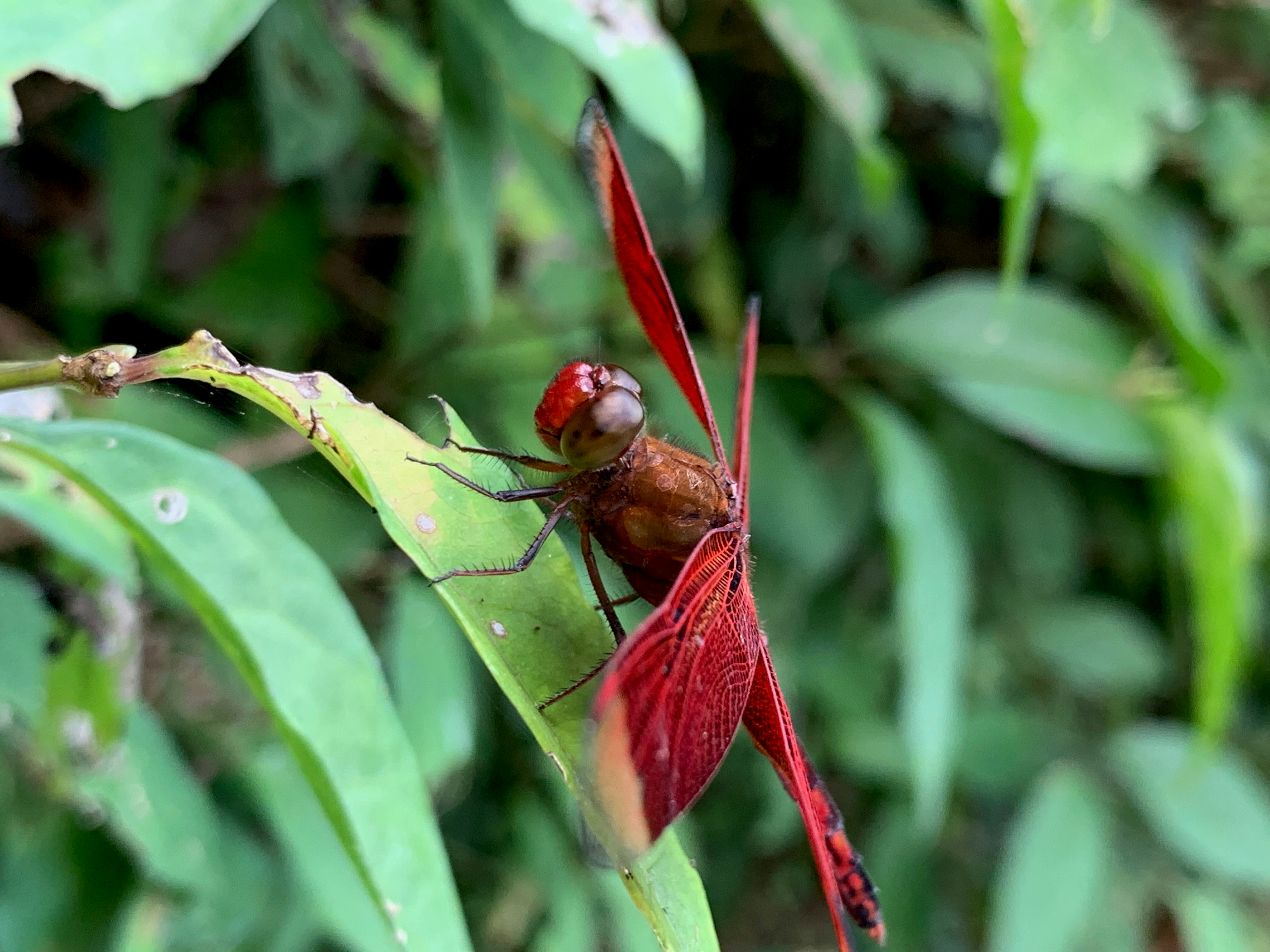 Photo by nikolalukovic