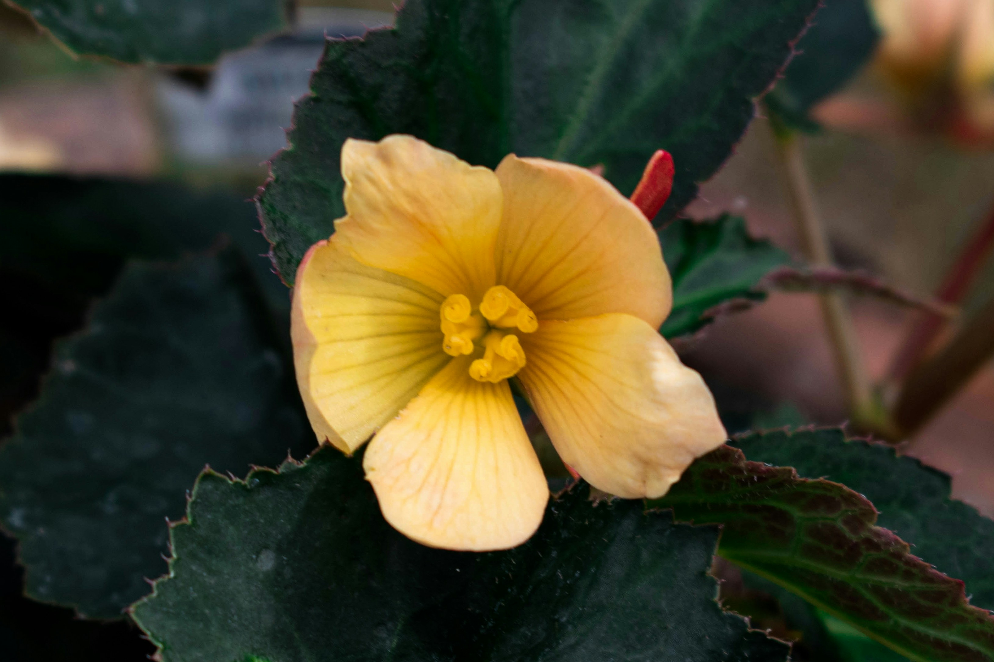 Photo by infinitecreations21