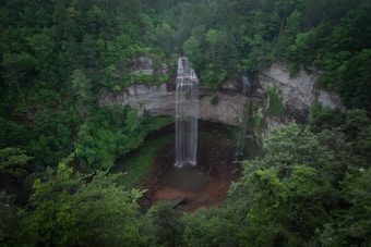 A lush, forested landscape featuring a tall waterfall cascading down a steep cliff into a small pool below. The surrounding area is dense with vibrant green foliage and tall trees, giving a sense of seclusion and untouched nature.